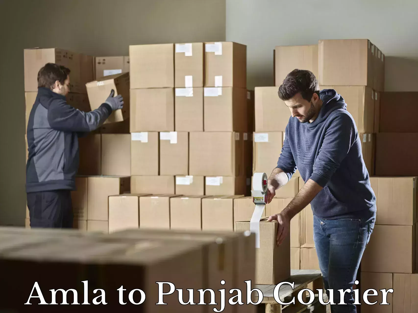 Baggage courier strategy Amla to Central University of Punjab Bathinda
