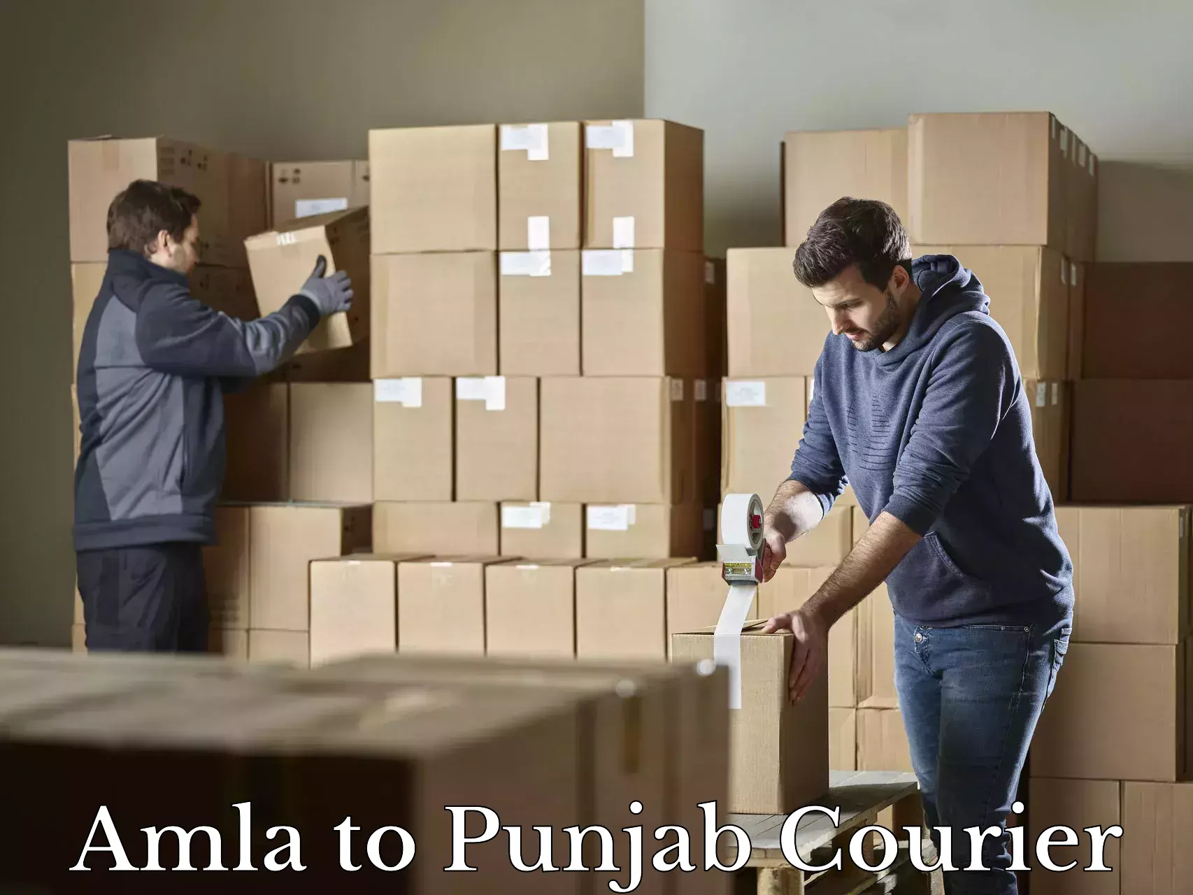 Budget-friendly baggage courier Amla to Pathankot