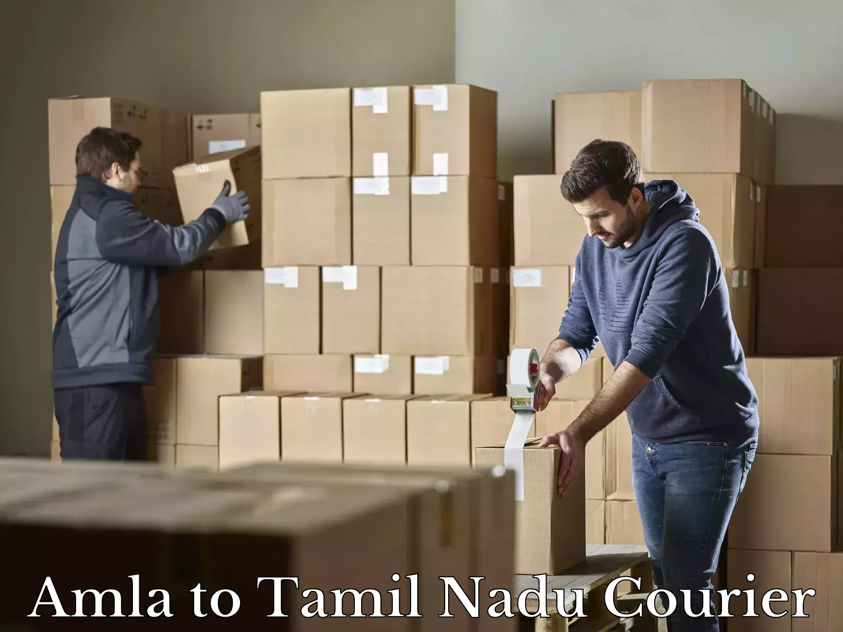 Online luggage shipping booking Amla to Tamil Nadu