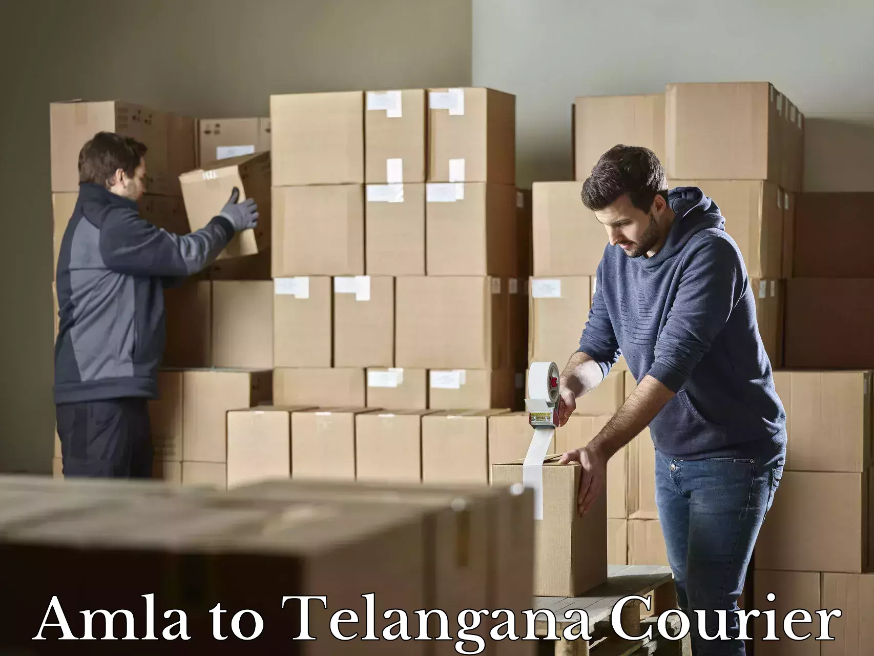 Luggage delivery estimate Amla to Telangana