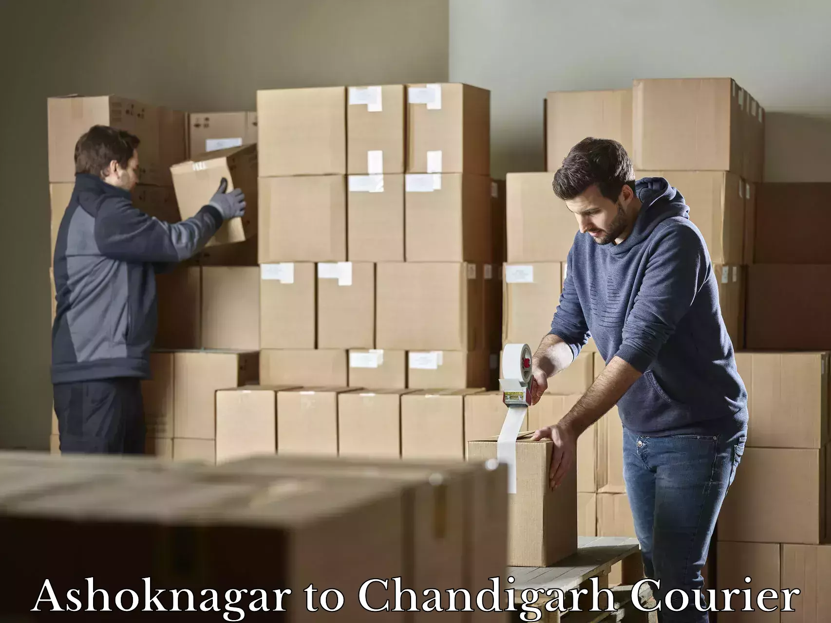 Custom luggage shipping in Ashoknagar to Chandigarh