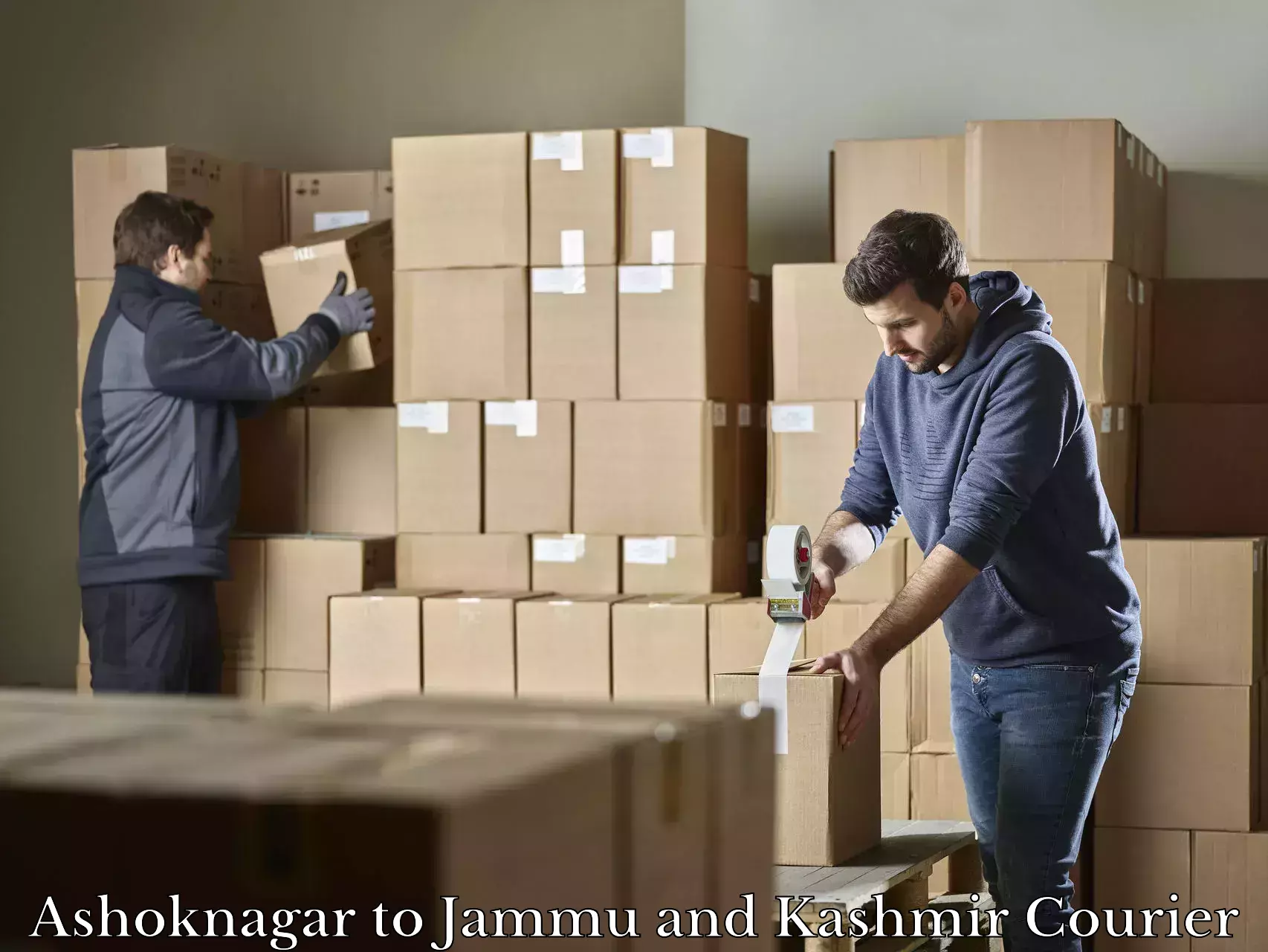 Hassle-free luggage shipping Ashoknagar to University of Jammu
