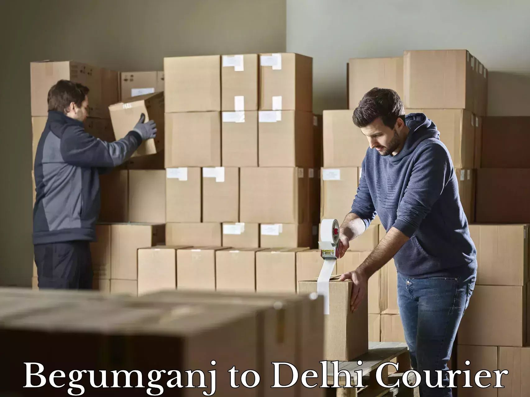 Baggage delivery management Begumganj to IIT Delhi