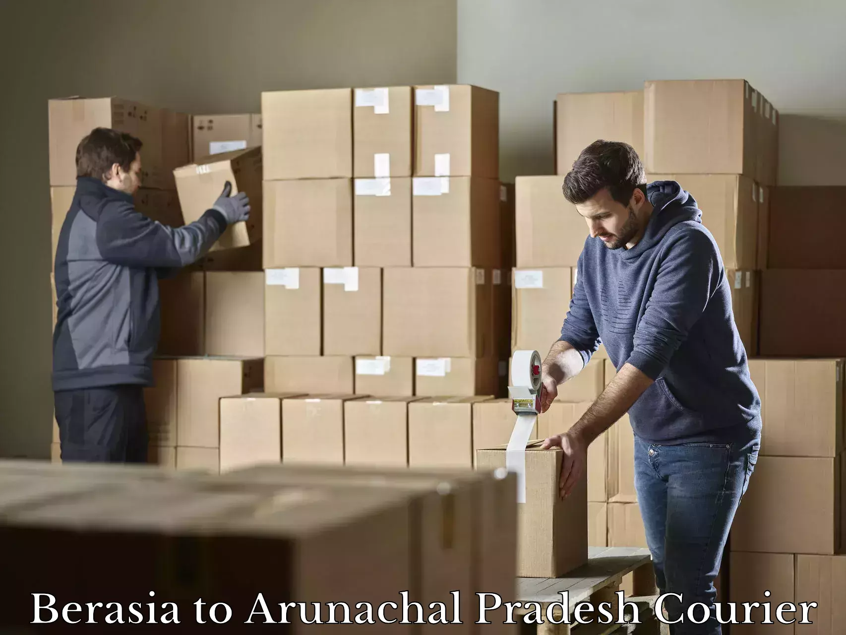Baggage courier operations in Berasia to Basar