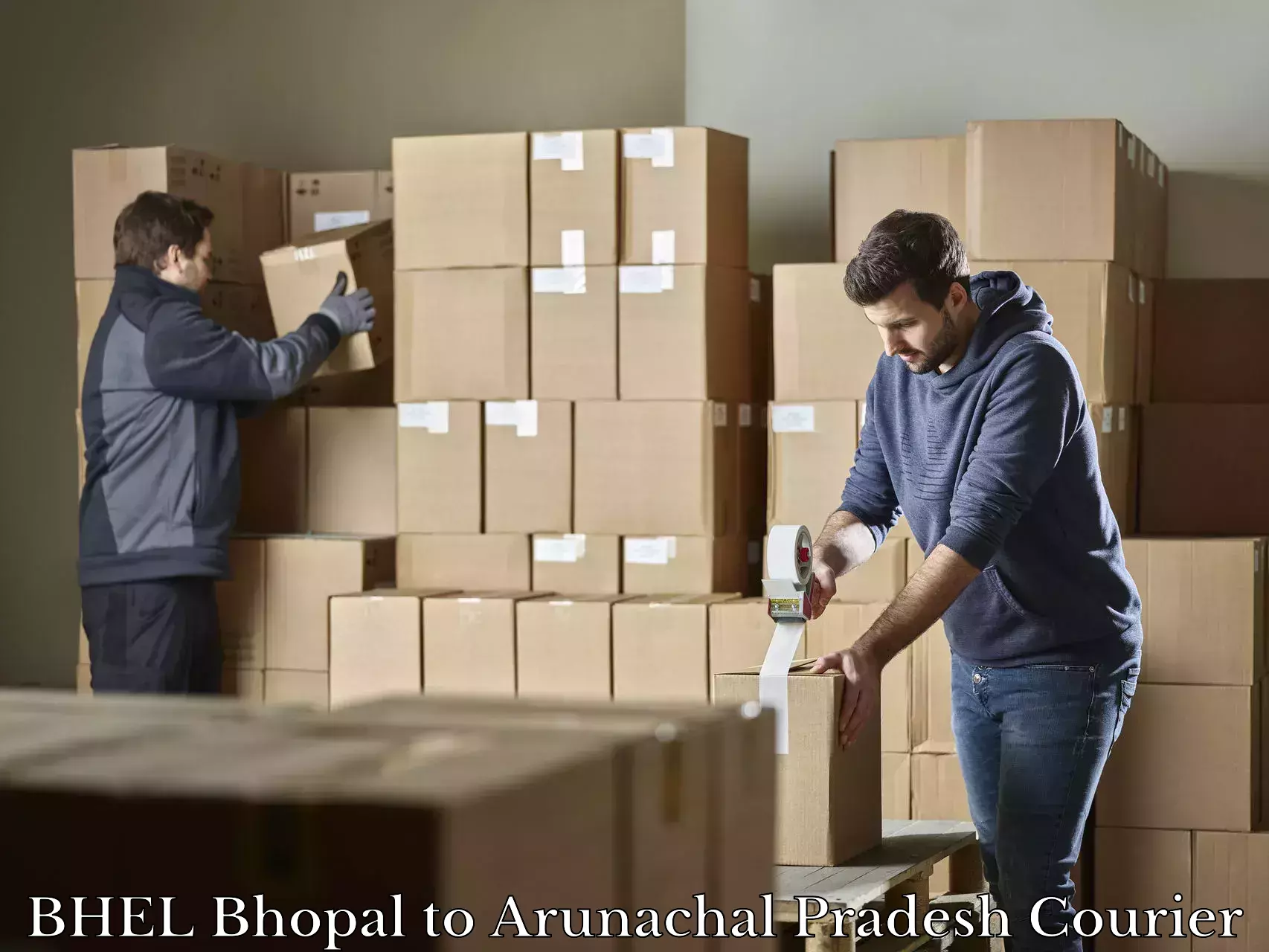 Baggage courier strategy BHEL Bhopal to Bordumsa