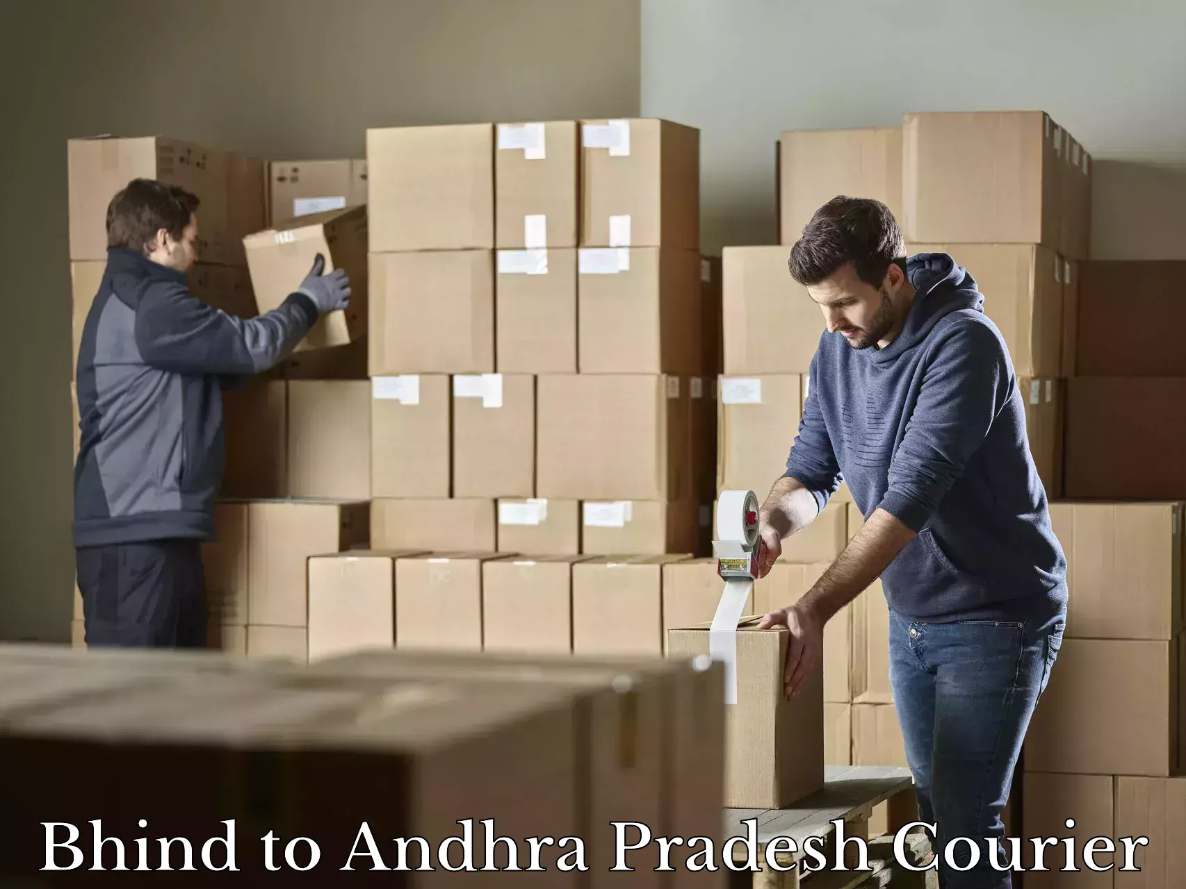 Luggage delivery network in Bhind to Andhra Pradesh
