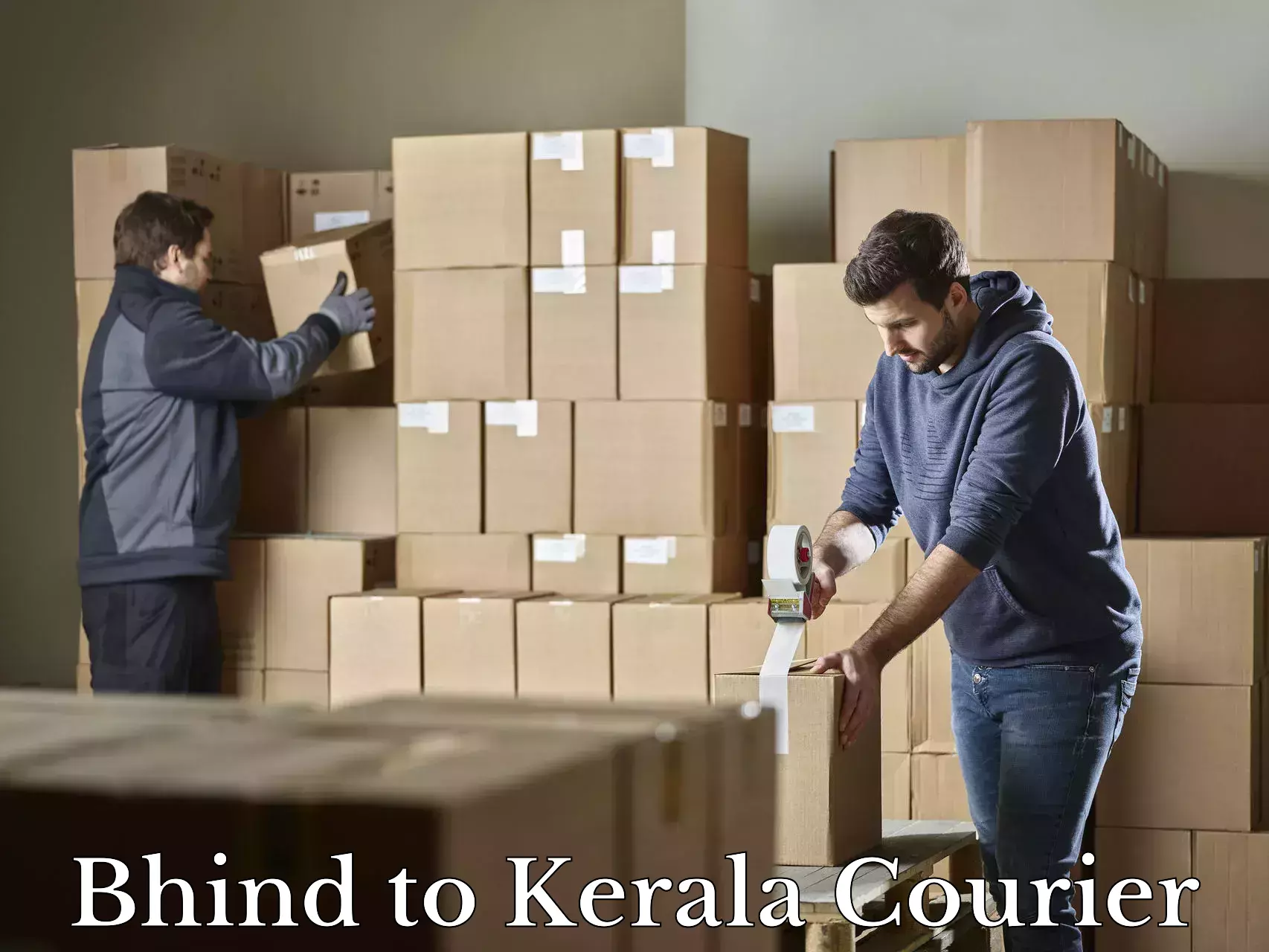 Single item baggage courier Bhind to North Paravur