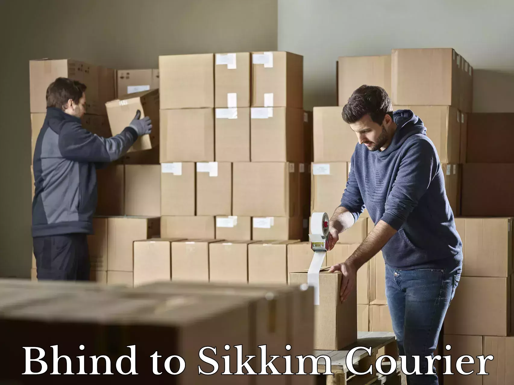 Reliable luggage courier Bhind to East Sikkim