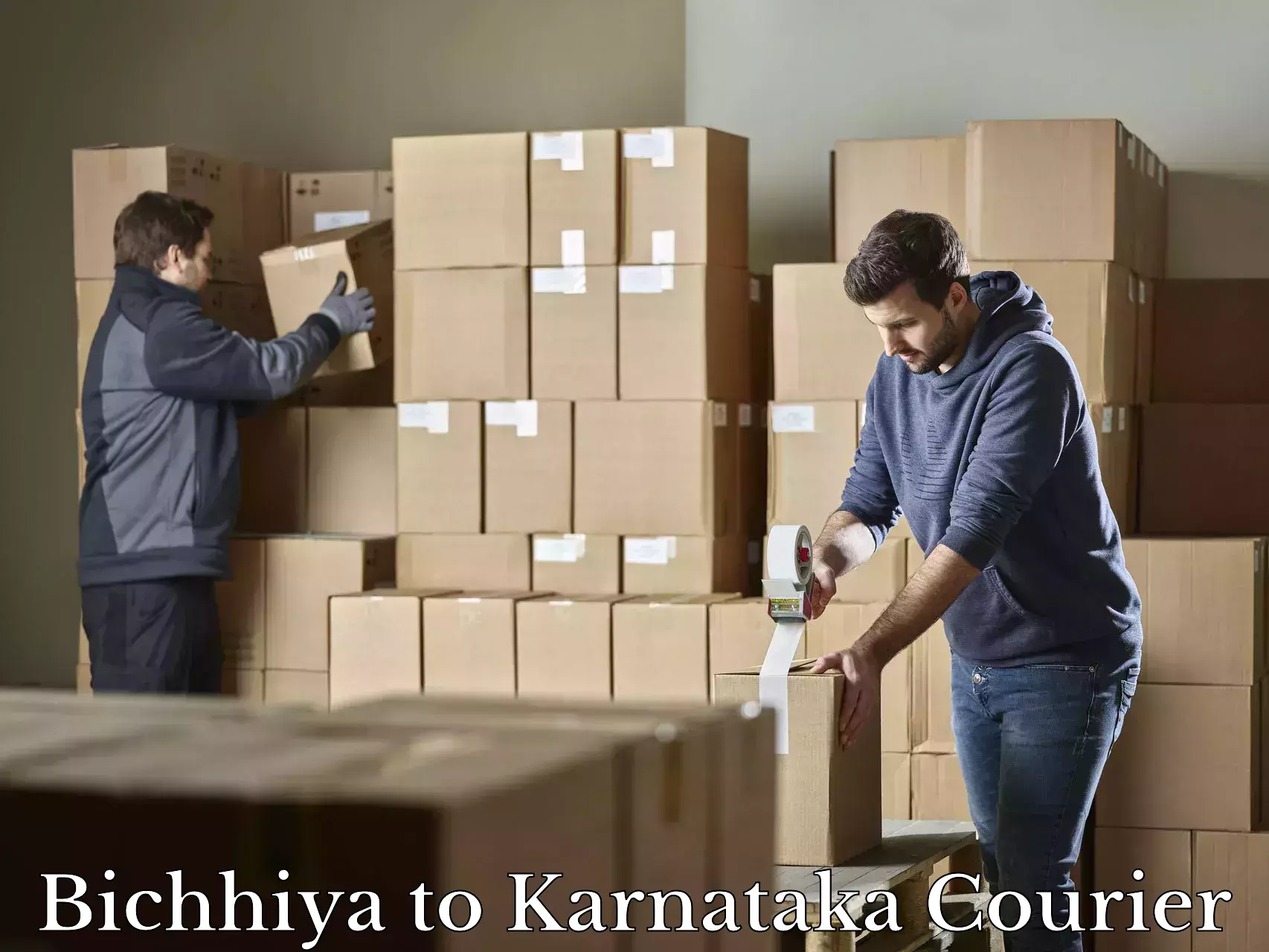 Luggage delivery calculator Bichhiya to Karnataka