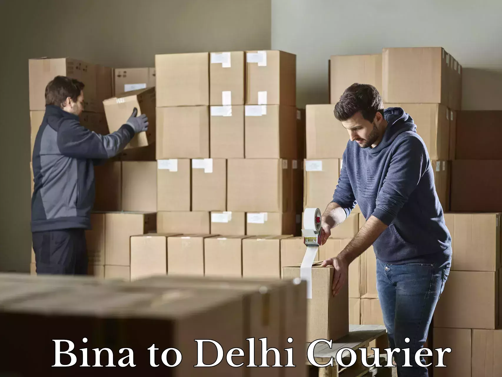 Baggage courier rates calculator Bina to Ashok Vihar