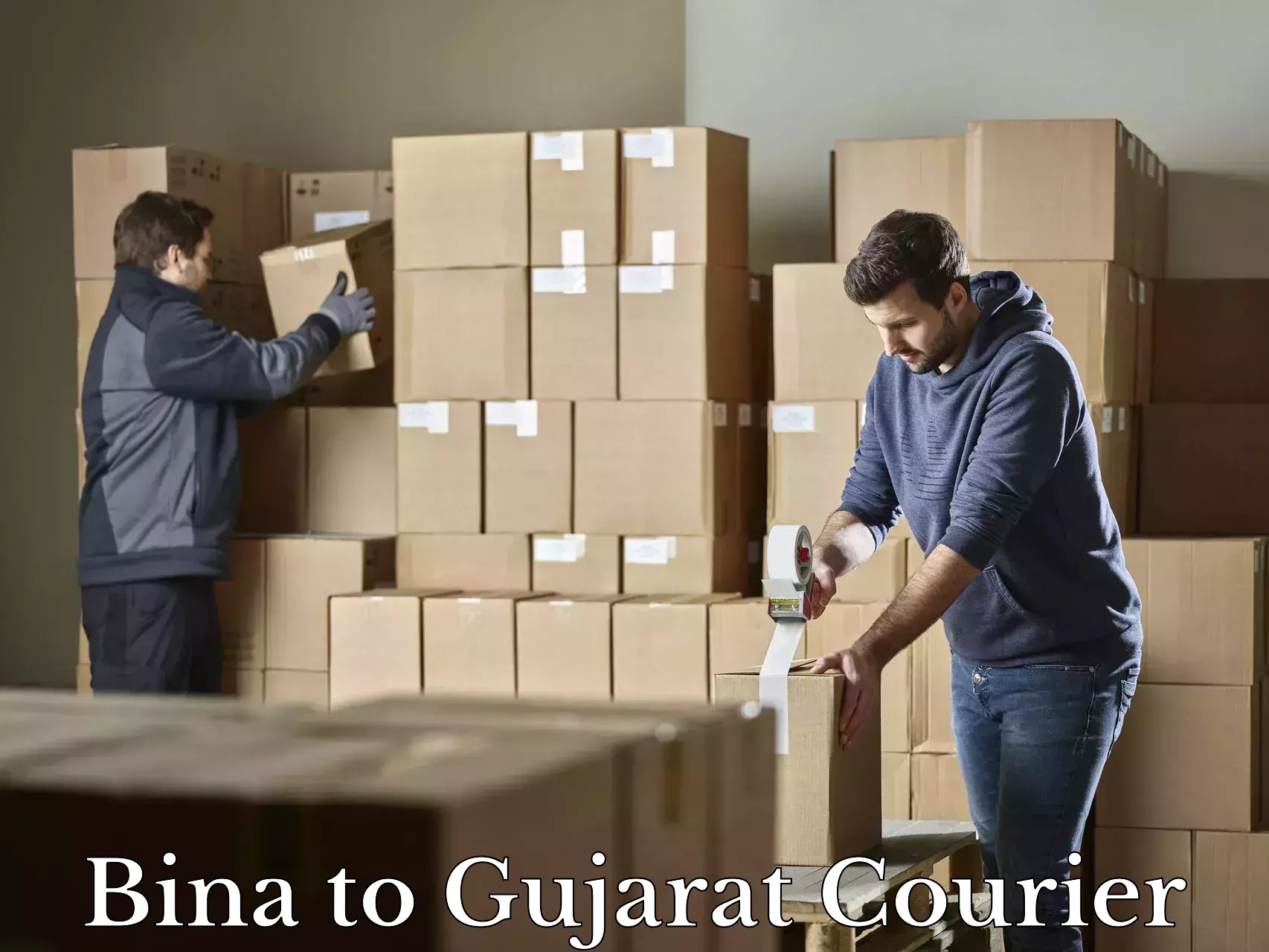 Holiday baggage shipping Bina to Gujarat