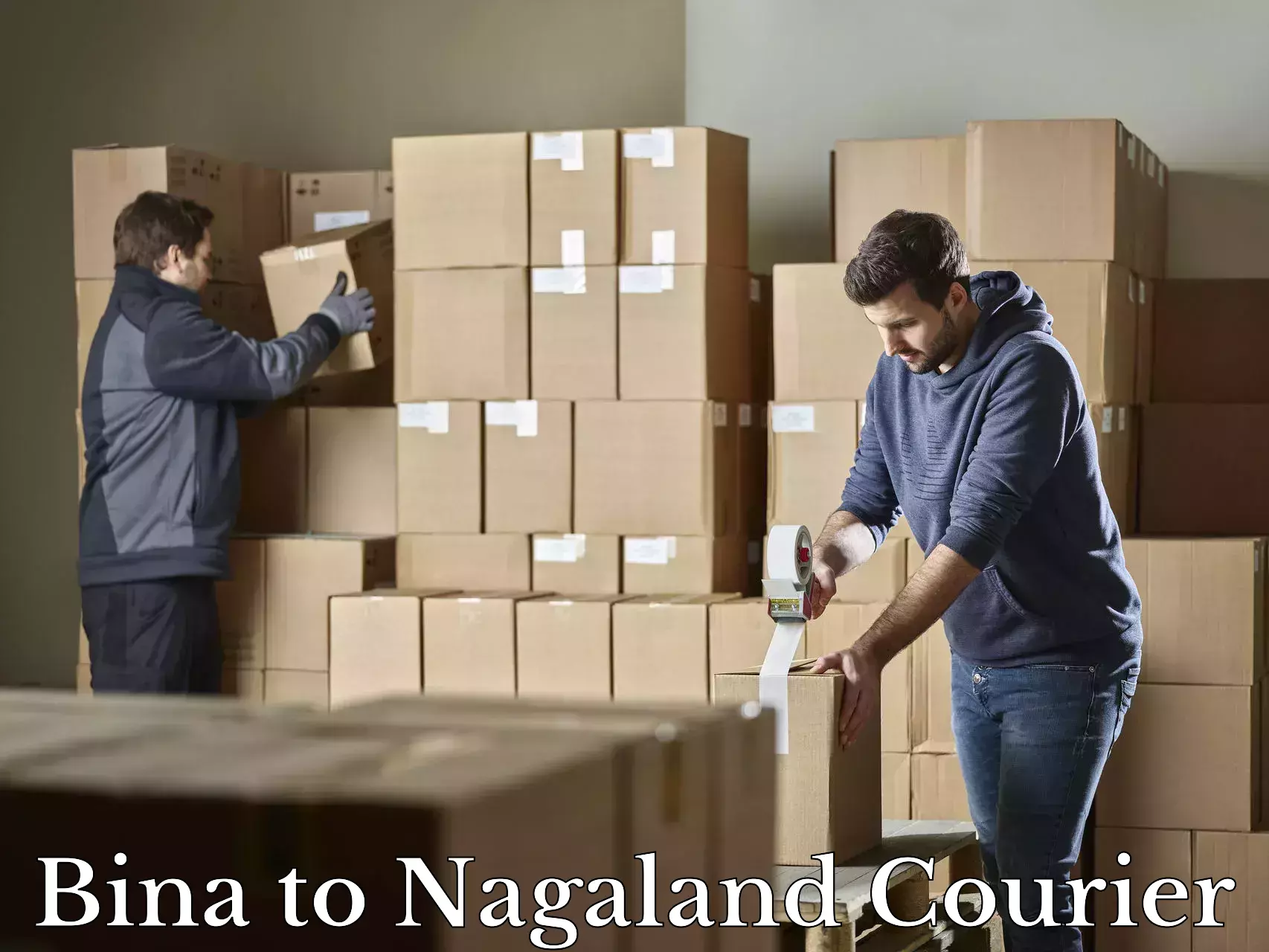 Baggage delivery optimization Bina to Nagaland