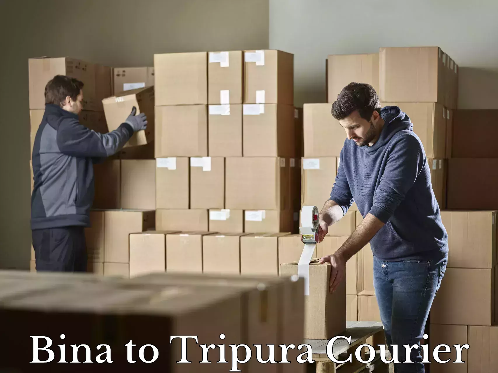 Baggage transport rates calculator Bina to Udaipur Tripura
