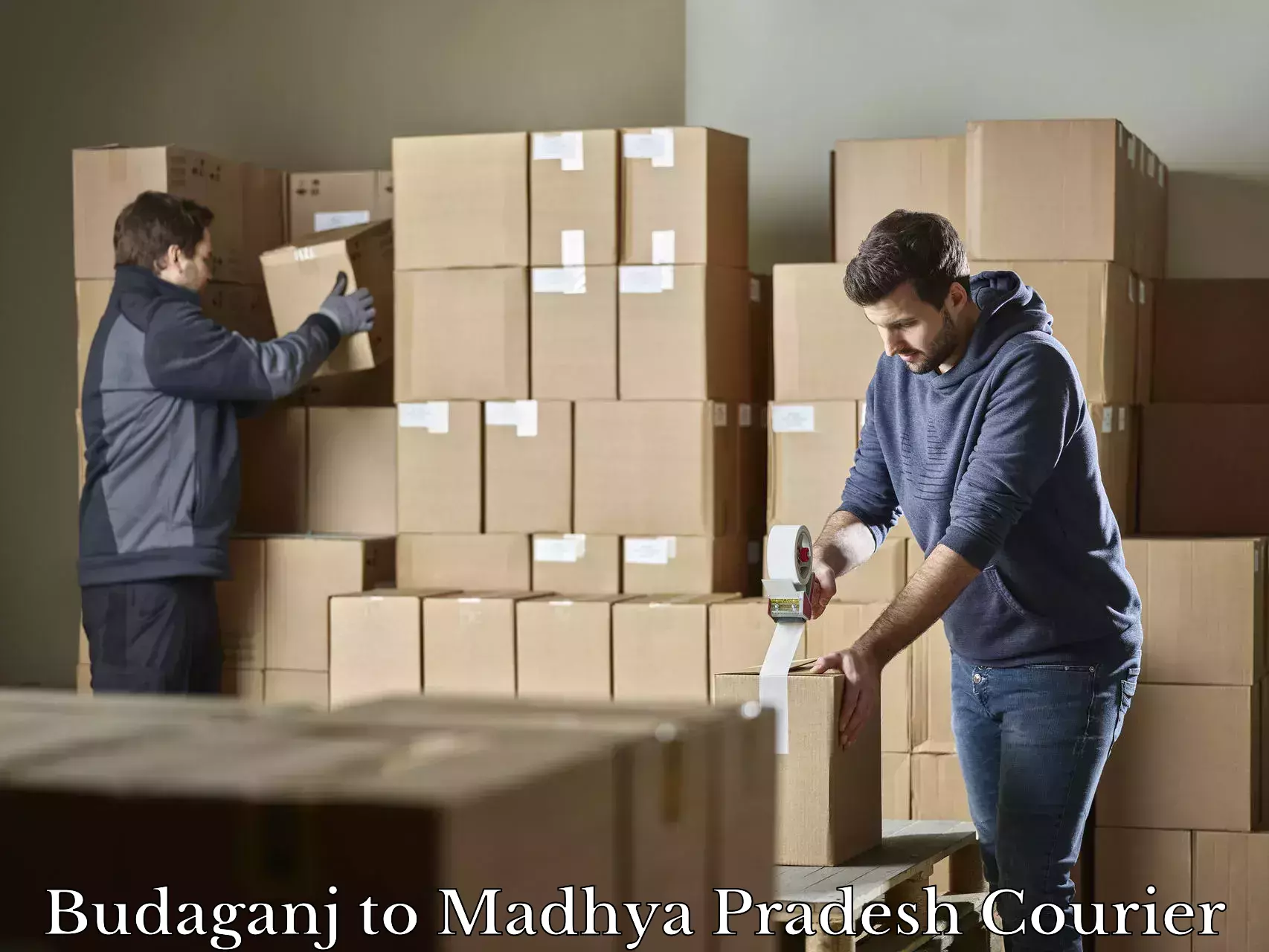 Baggage delivery estimate in Budaganj to Madhya Pradesh