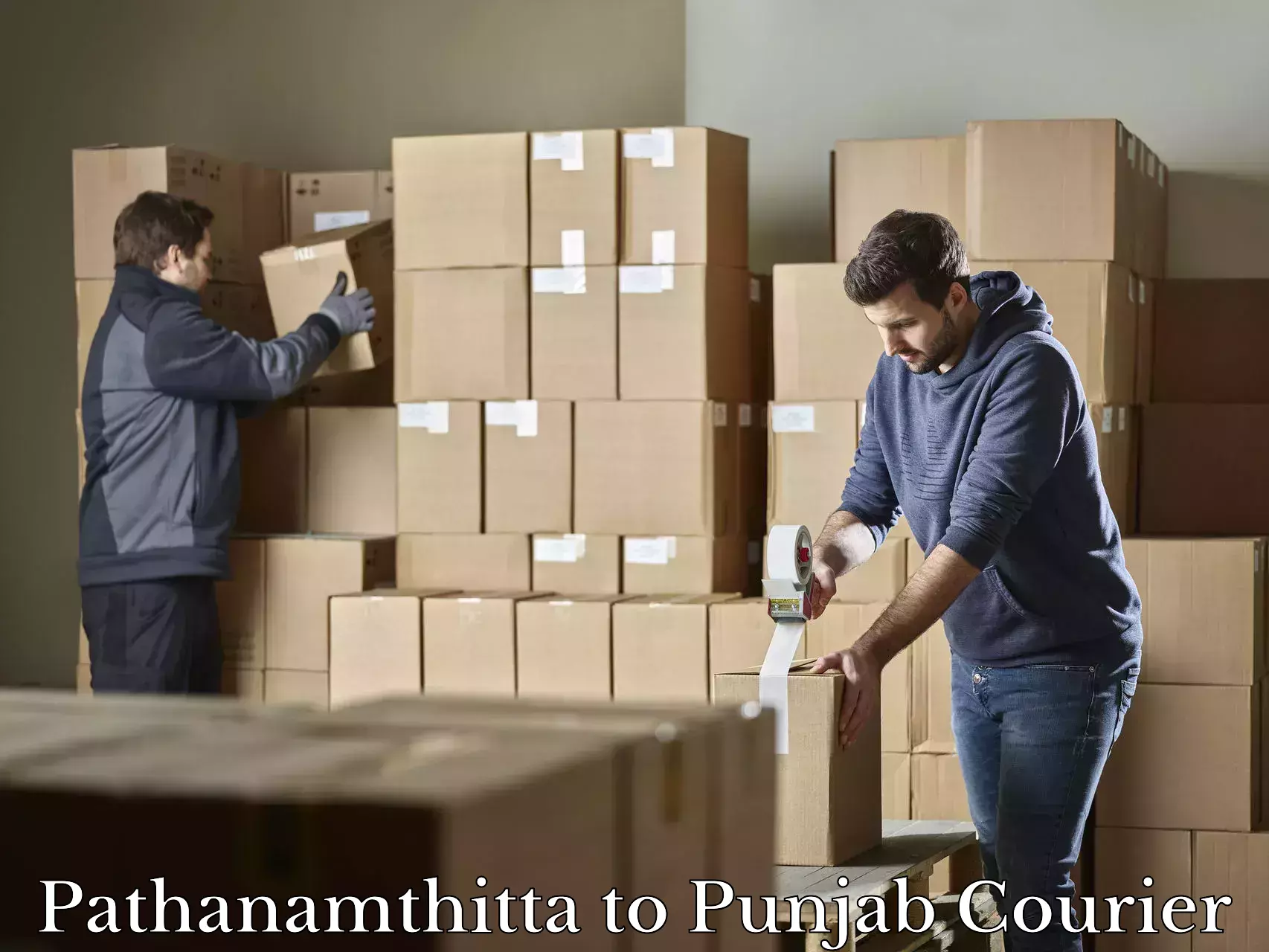 Luggage shipping efficiency Pathanamthitta to Guru Nanak Dev University Amritsar