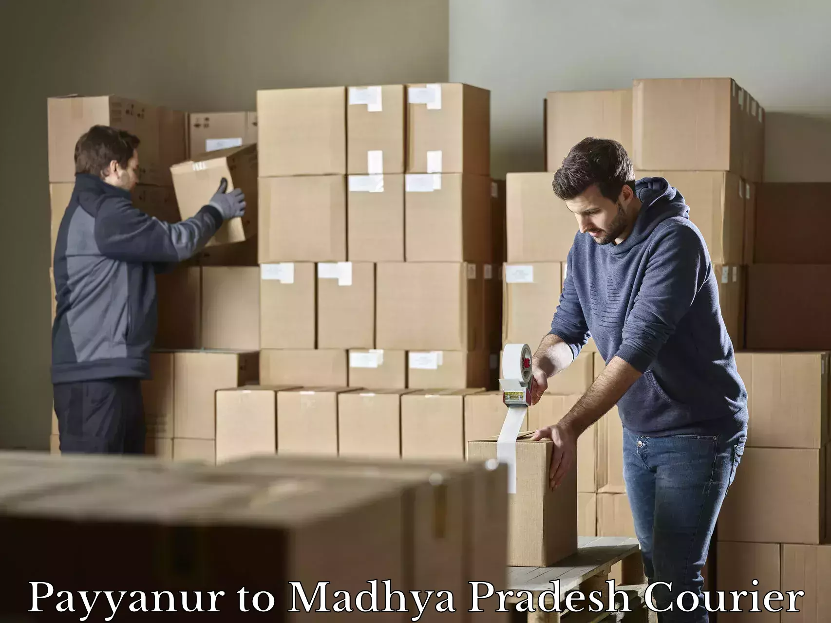 Luggage courier rates calculator Payyanur to Badnagar