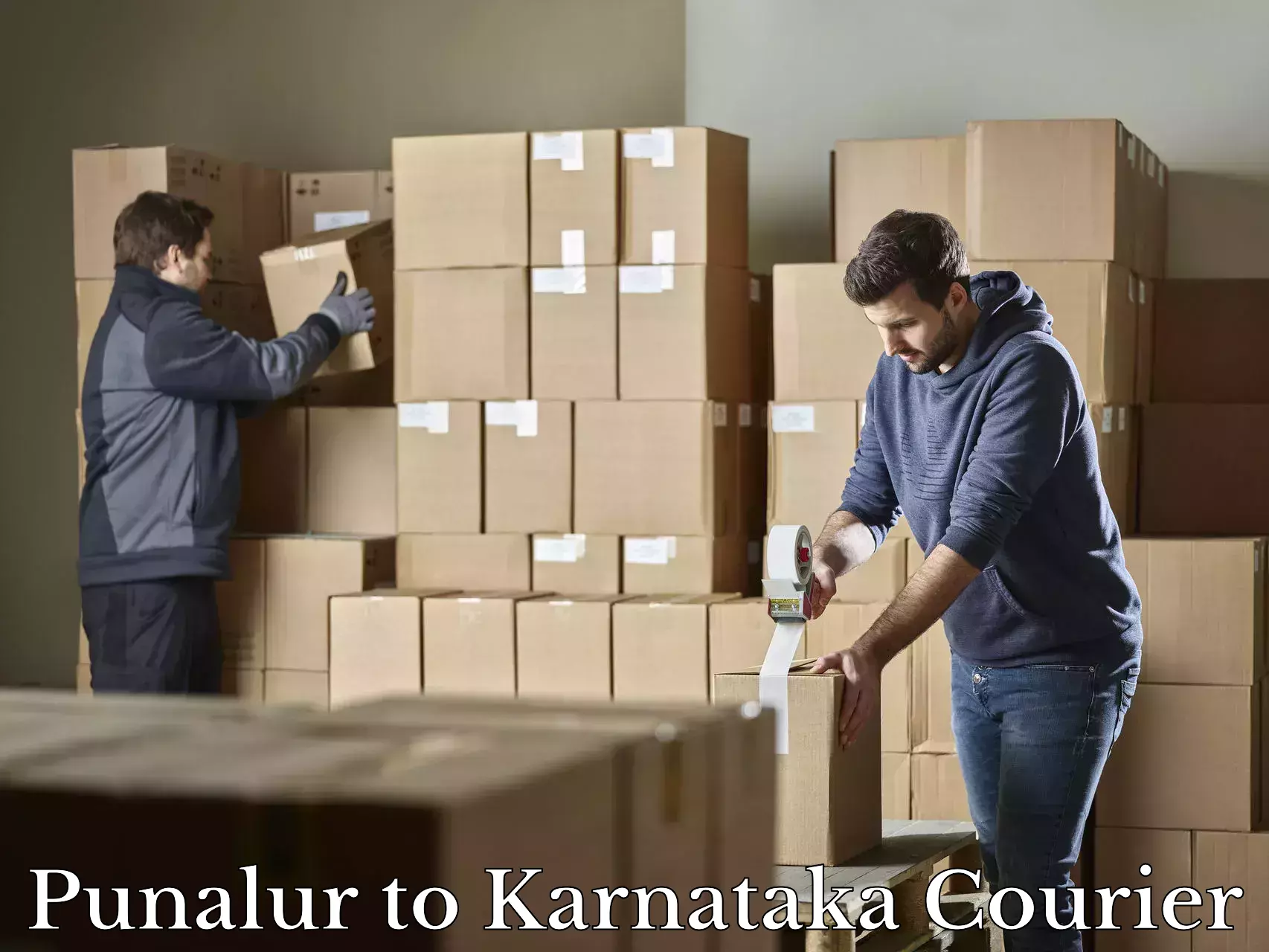 Baggage shipping experts in Punalur to Karnataka