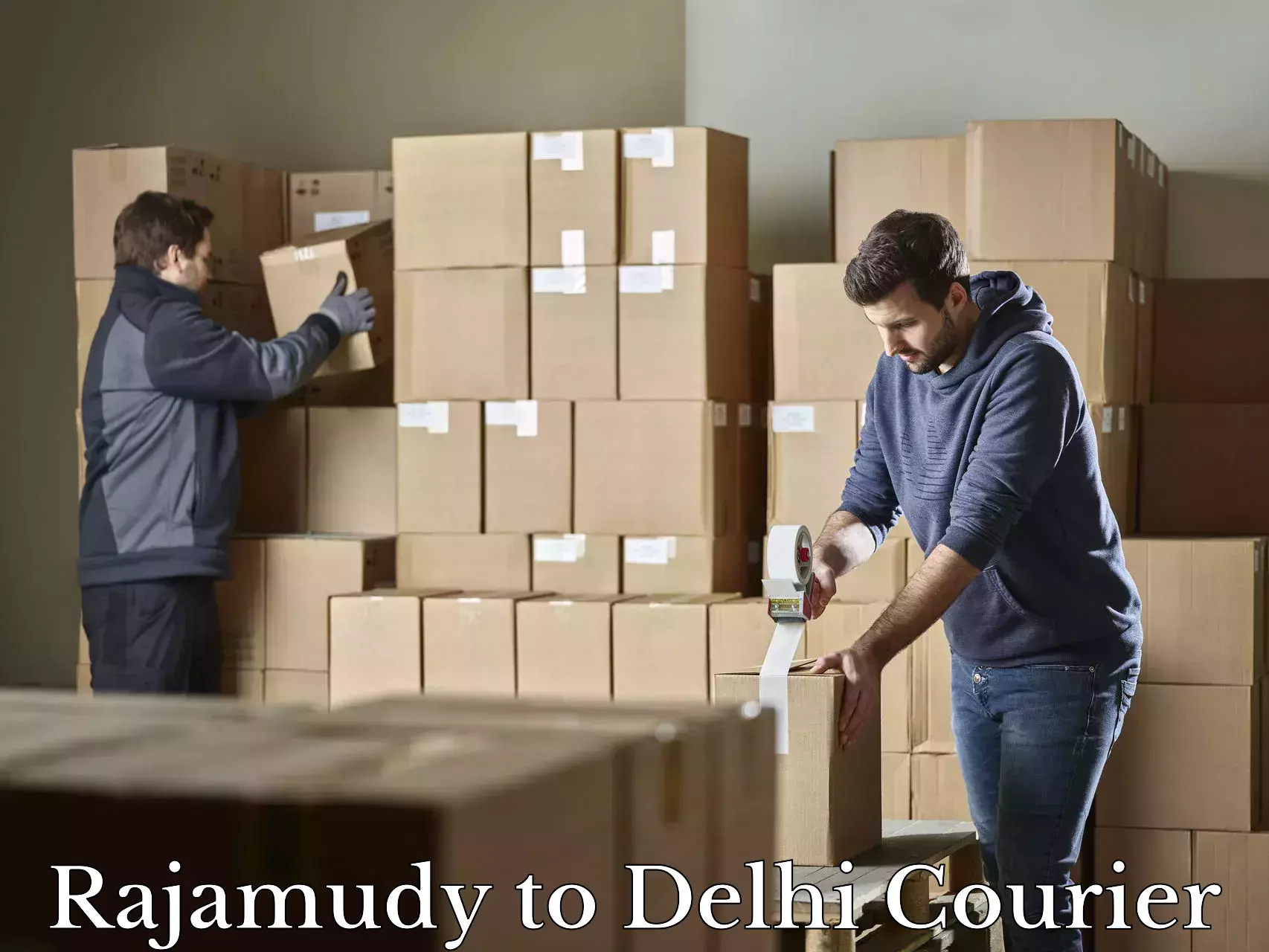 Luggage dispatch service Rajamudy to Delhi