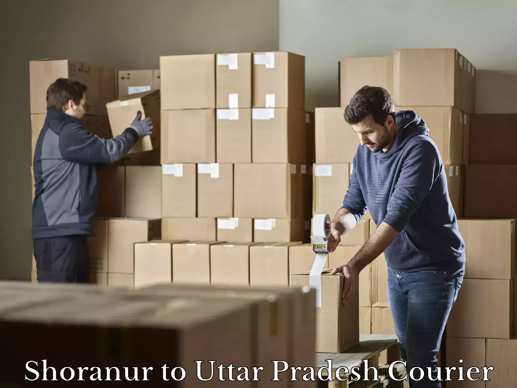Luggage delivery network Shoranur to Hamirpur Uttar Pradesh