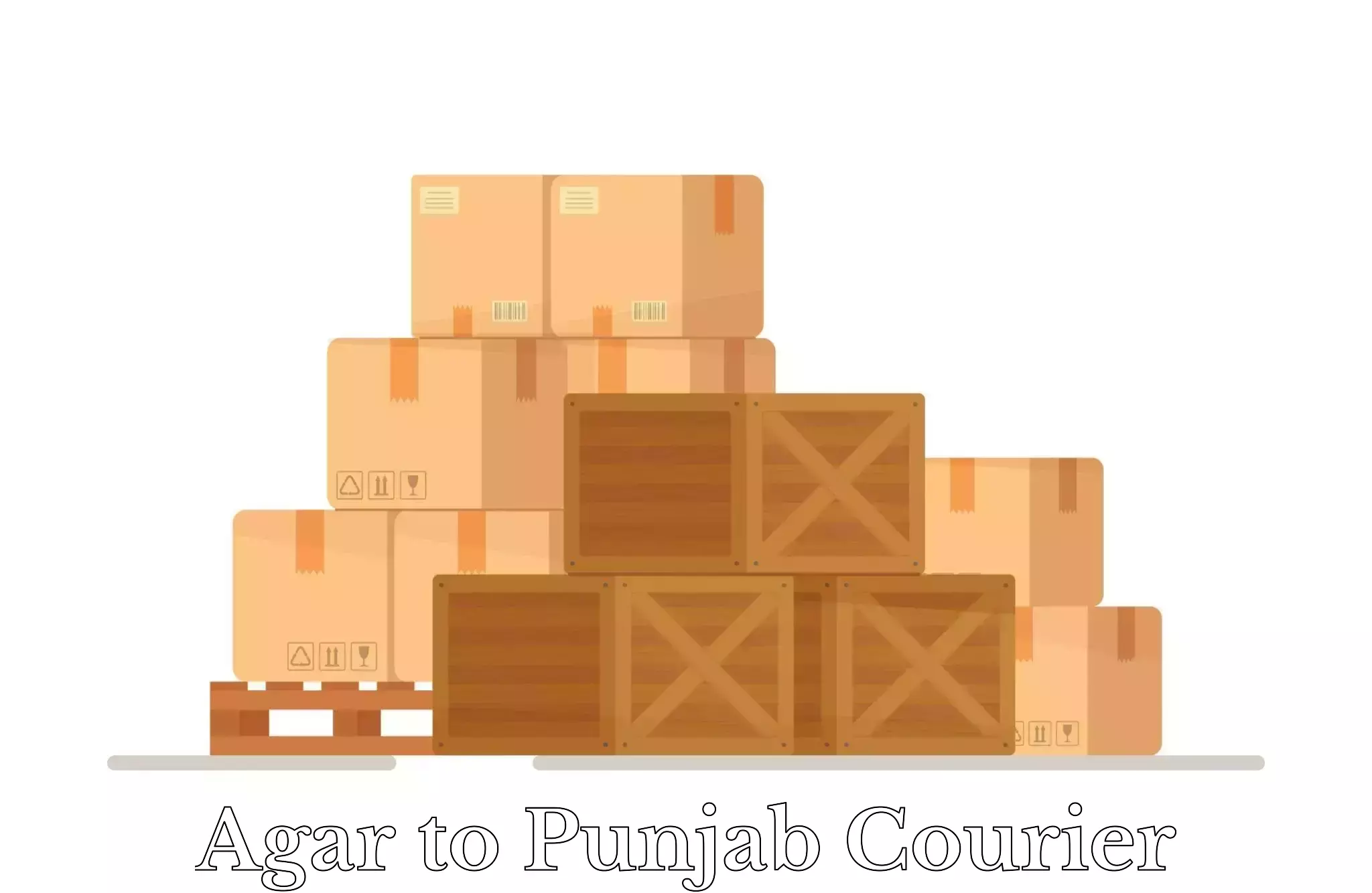 Scheduled baggage courier Agar to Ropar