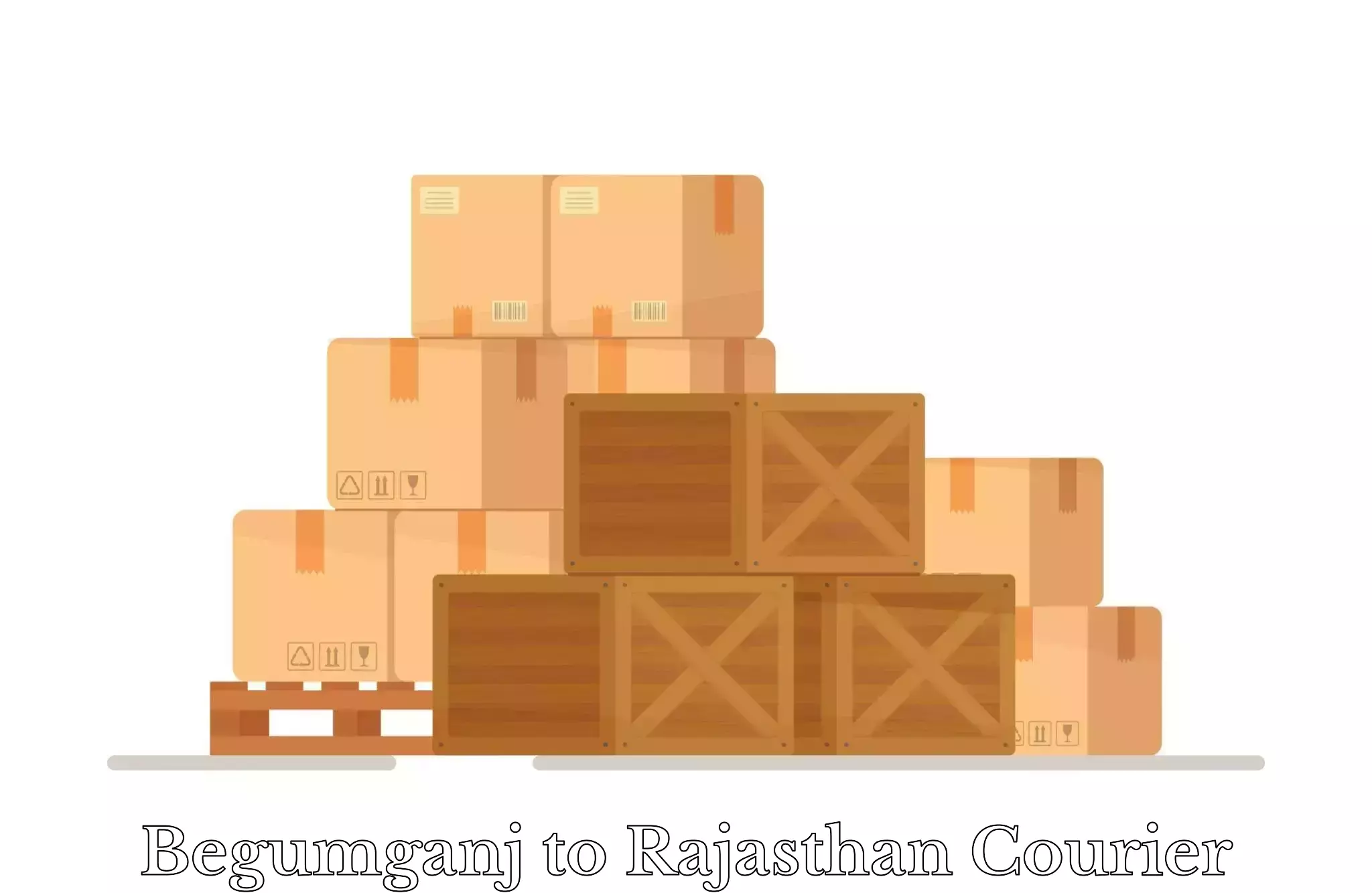 Luggage courier rates calculator Begumganj to Rajasthan