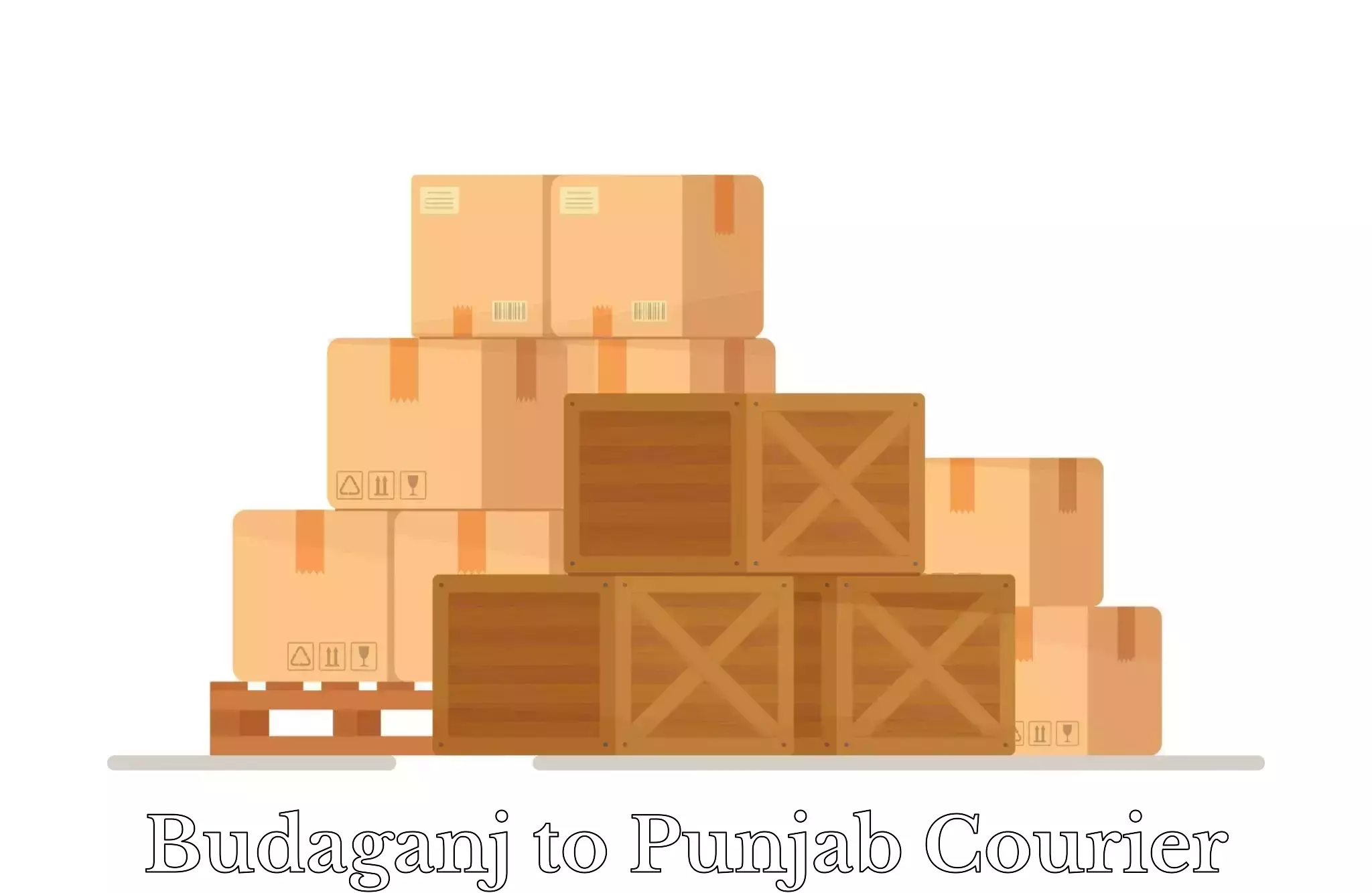 Overnight luggage courier Budaganj to Punjab
