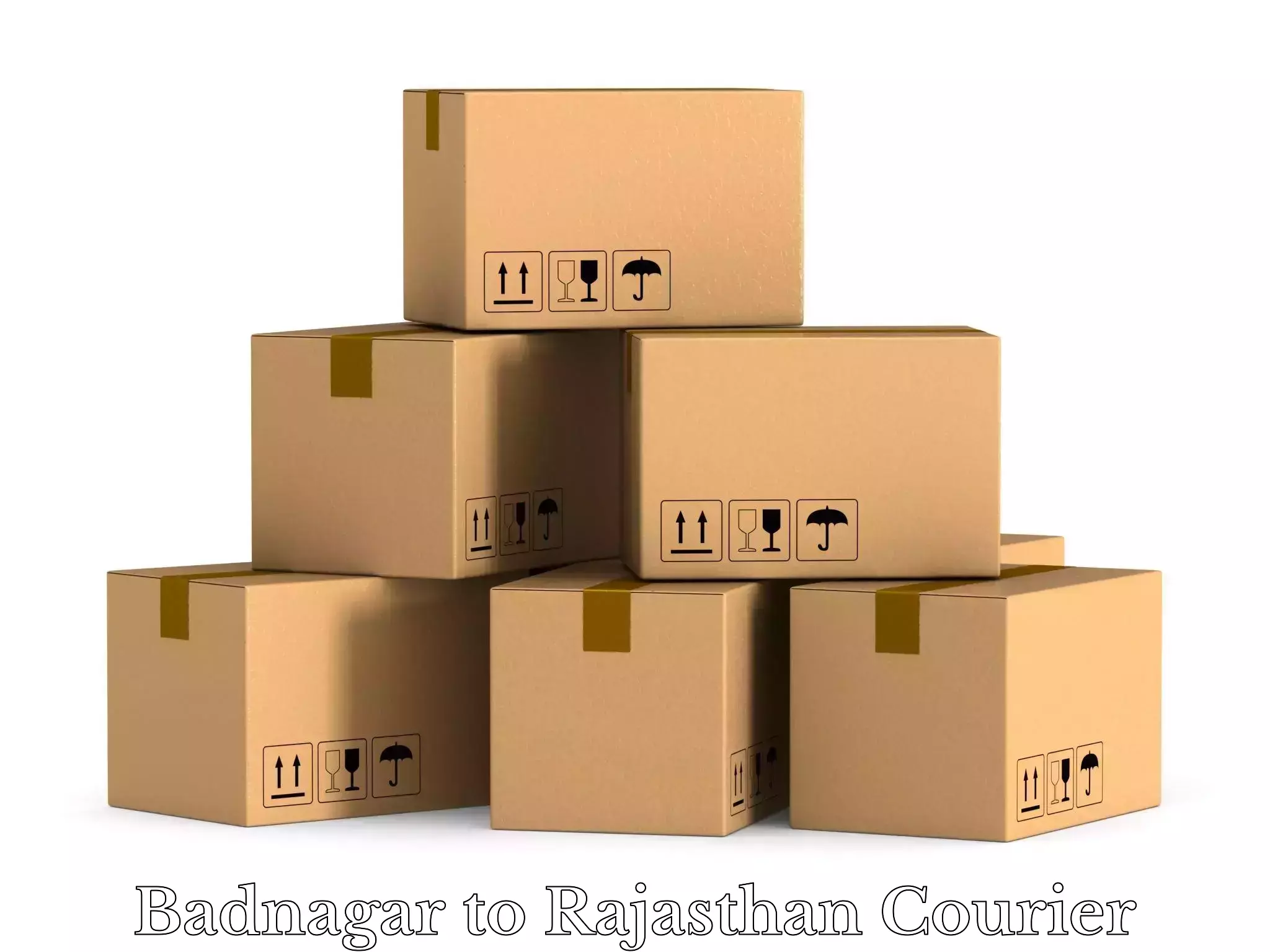 Artwork baggage courier Badnagar to Rajgarh Rajasthan