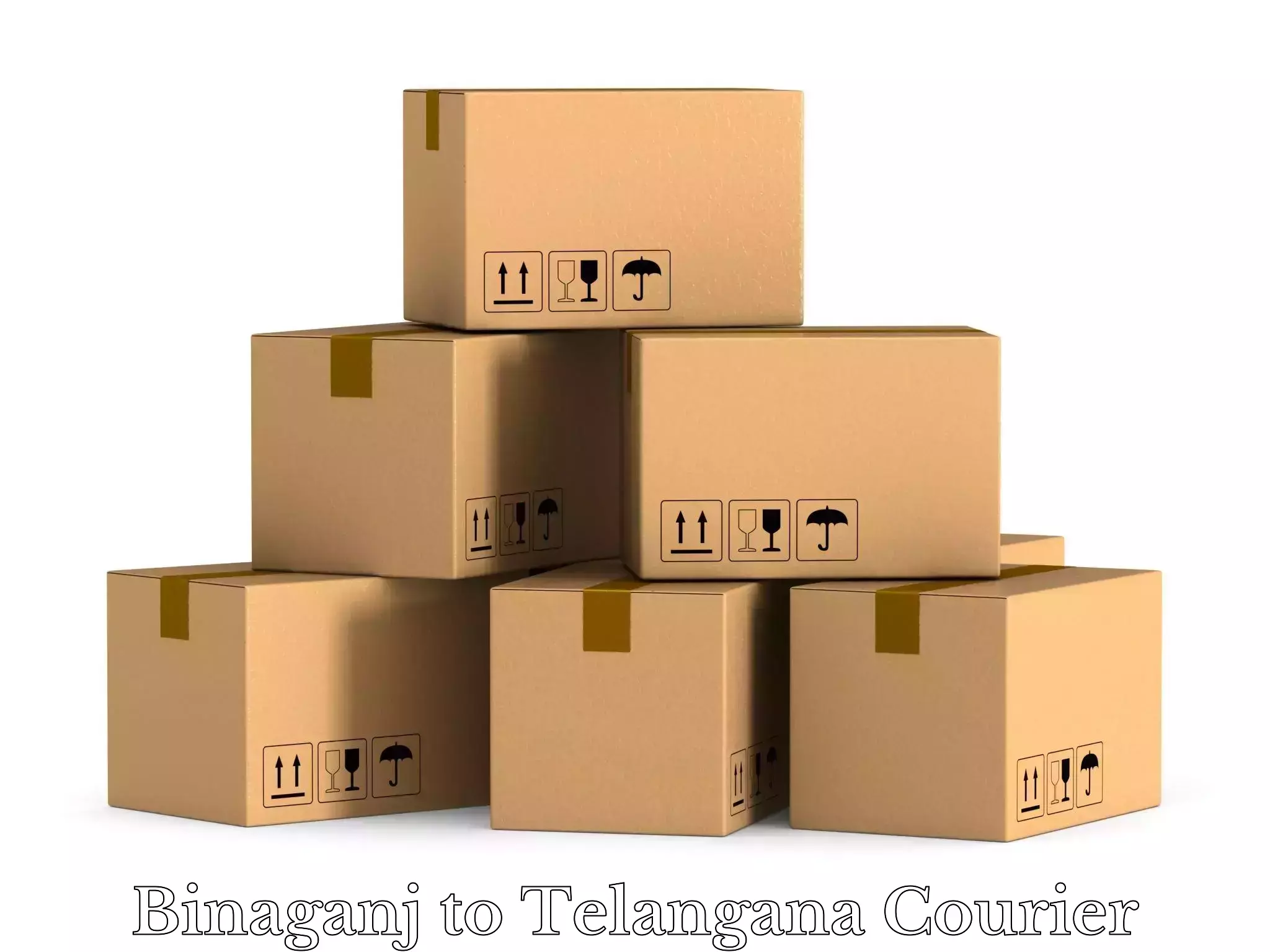 Luggage shipping specialists Binaganj to Telangana