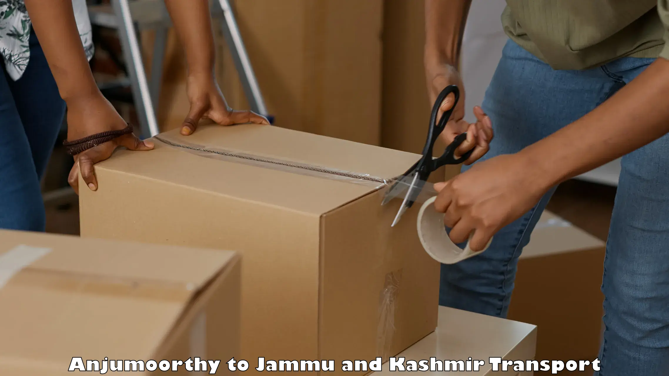 Container transport service Anjumoorthy to Budgam