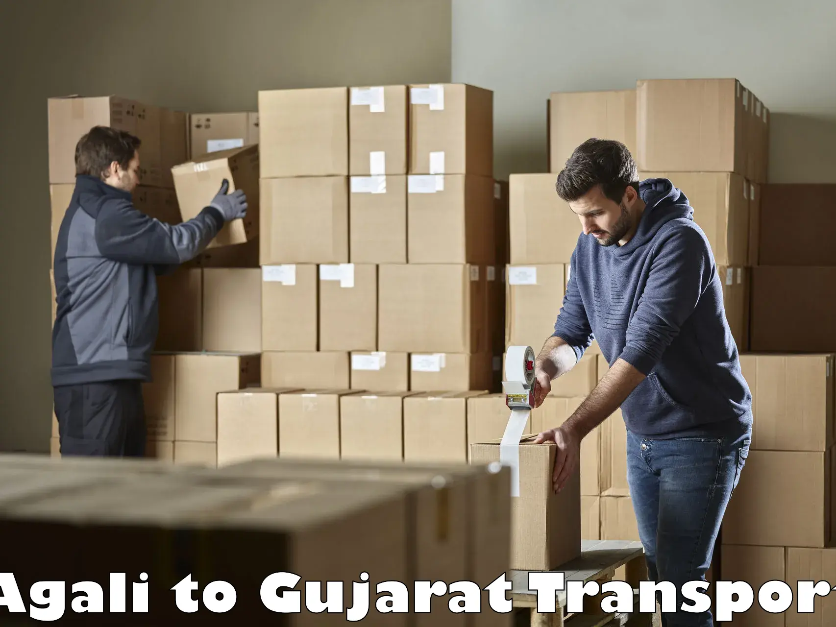 Vehicle parcel service Agali to Unjha