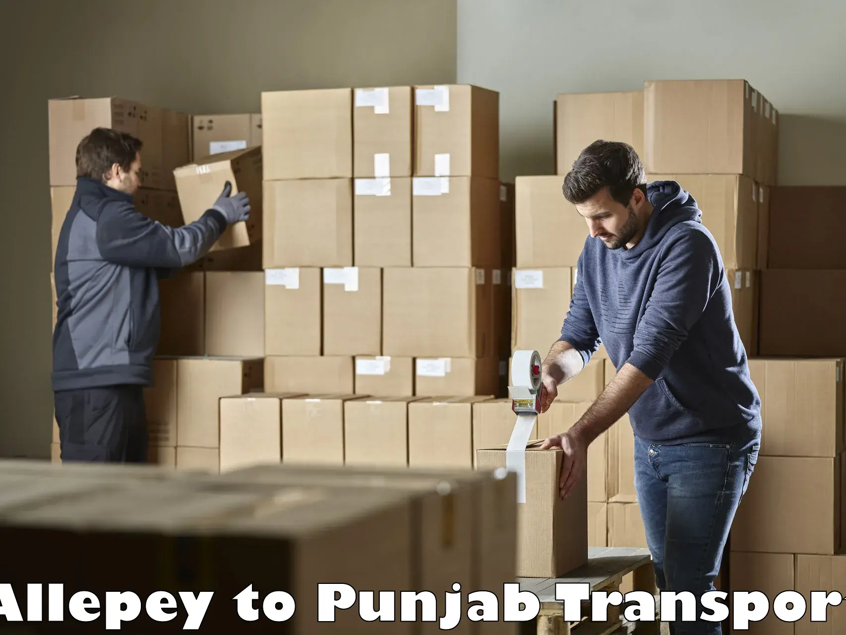 Luggage transport services Allepey to Punjab