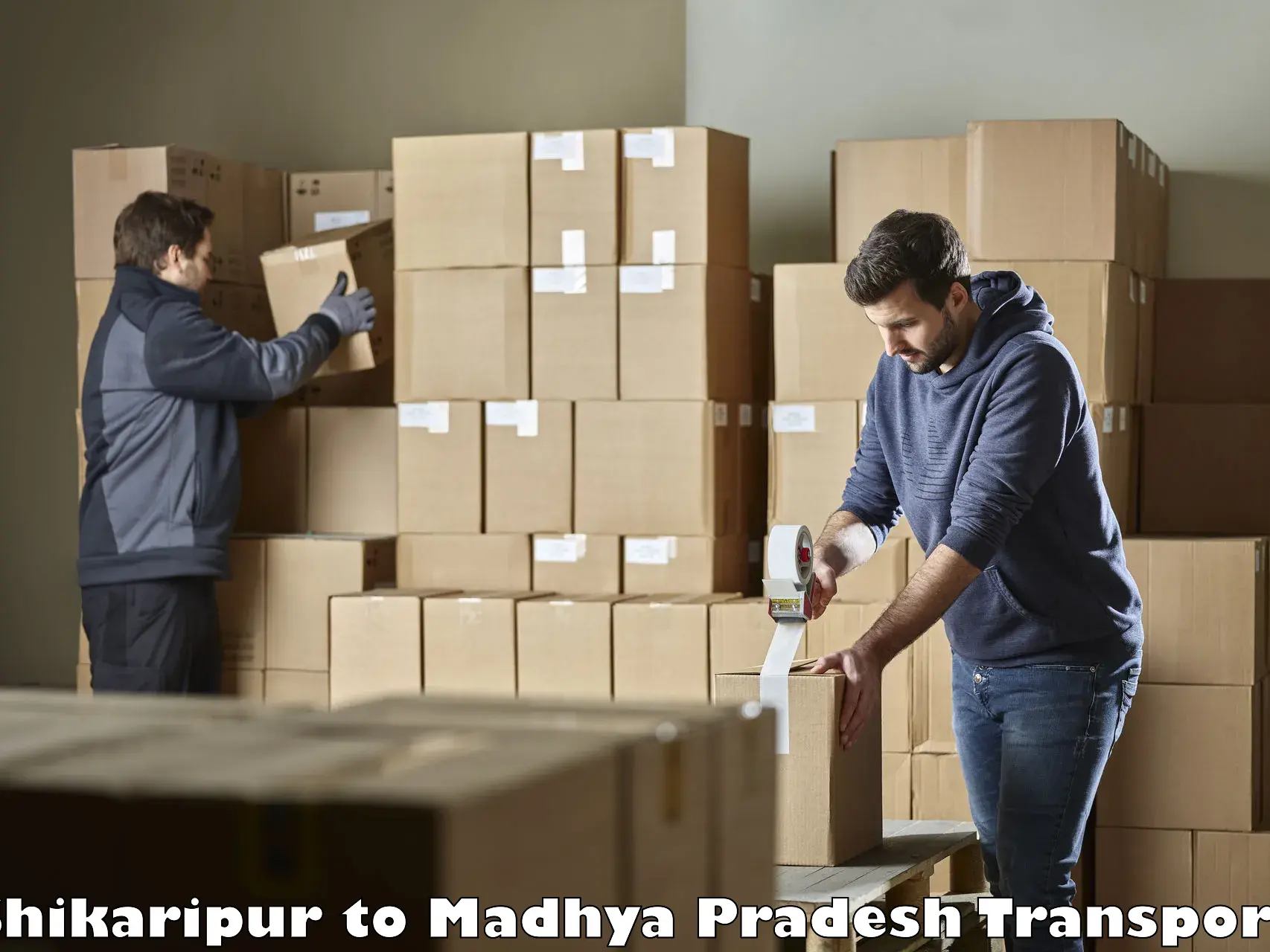 Truck transport companies in India Shikaripur to Manasa