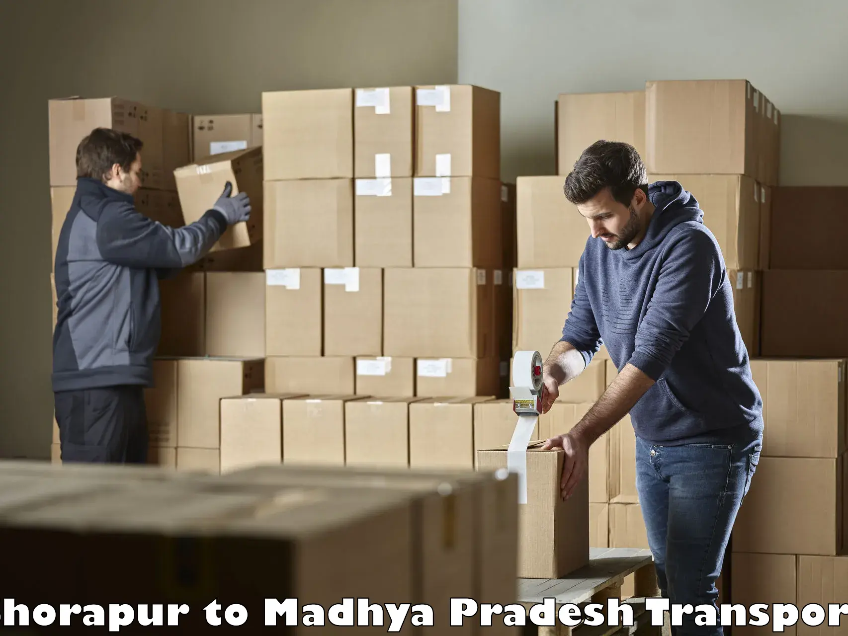 Logistics transportation services Shorapur to Mandsaur