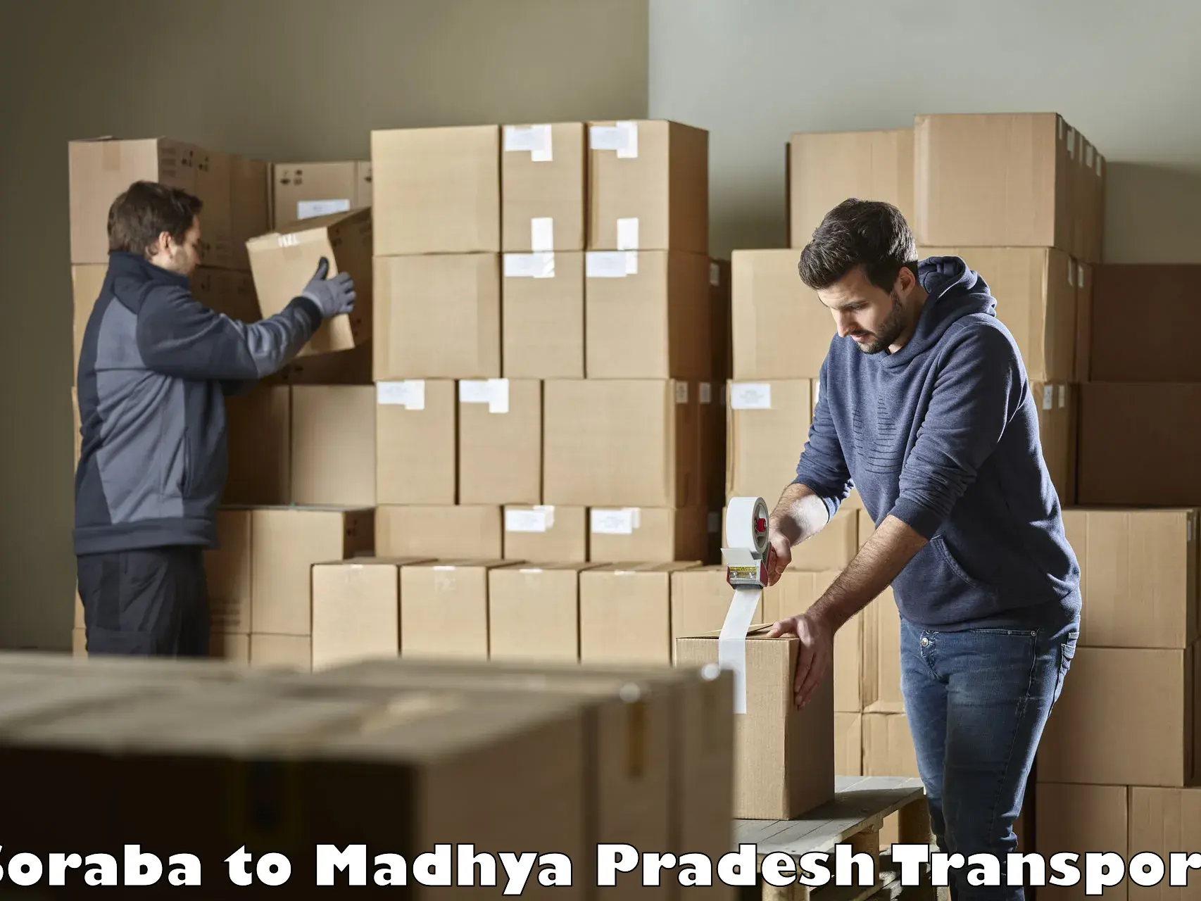 Truck transport companies in India Soraba to Bhopal