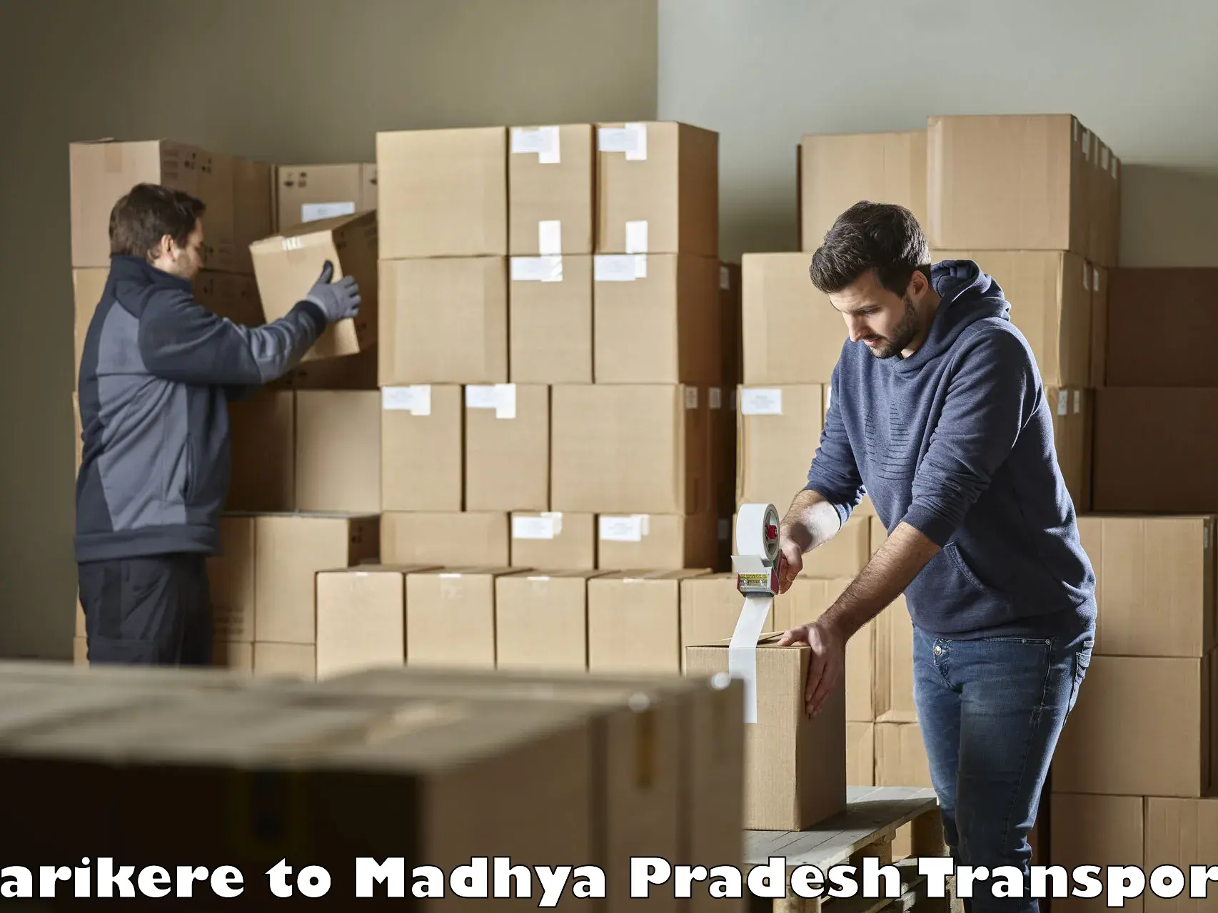 Cargo transportation services in Tarikere to Madhya Pradesh