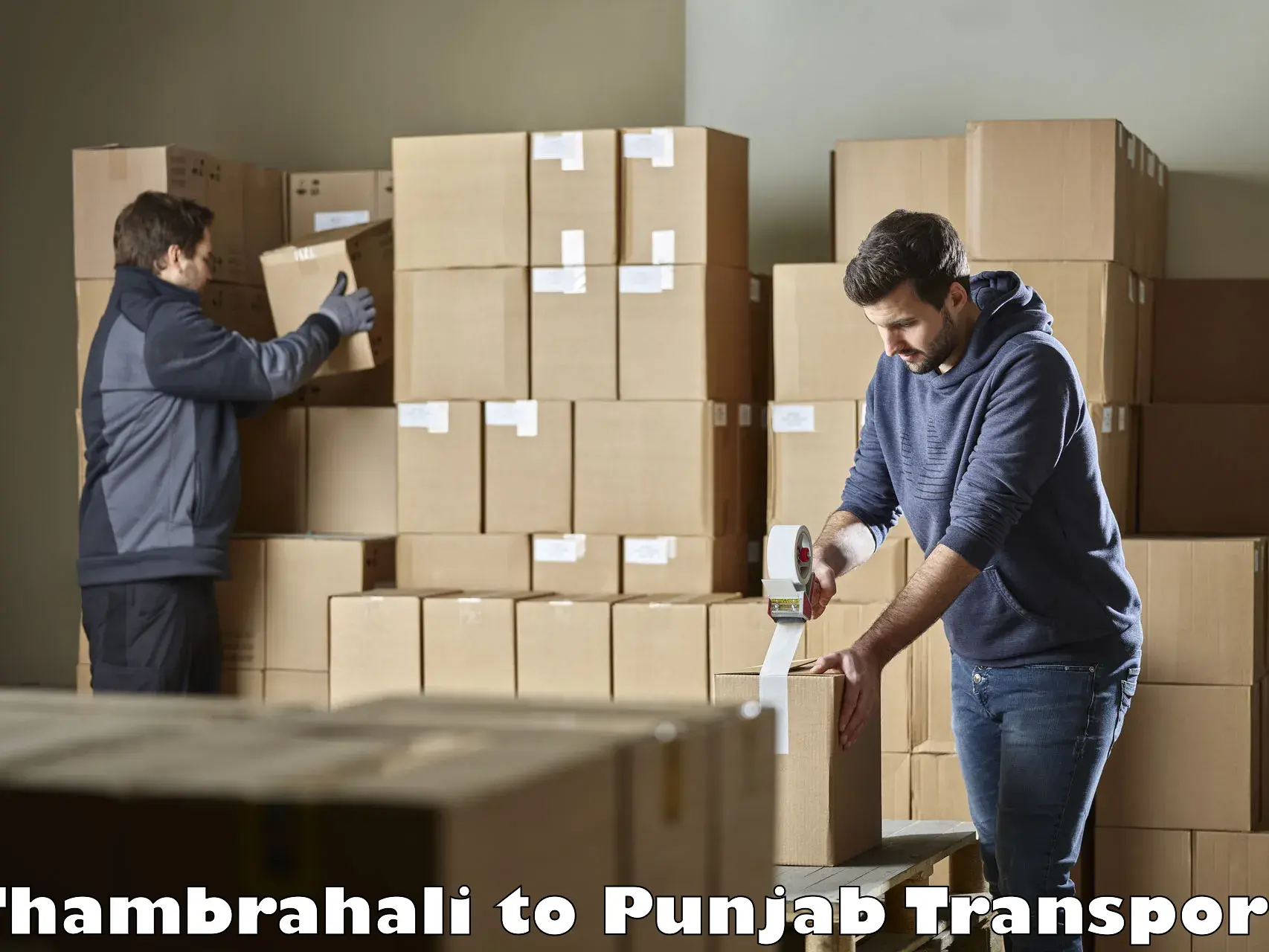 Daily parcel service transport Thambrahali to Punjab