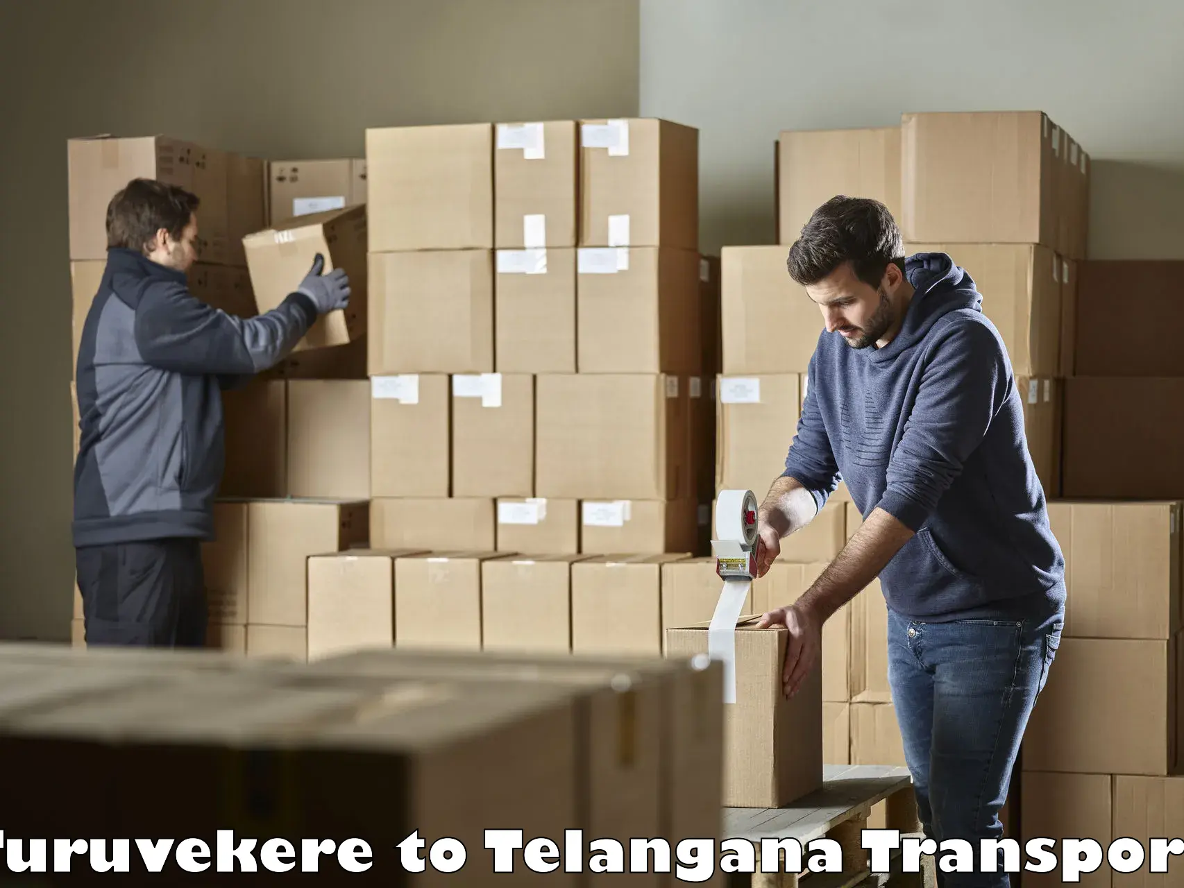 Online transport booking Turuvekere to Ramannapeta