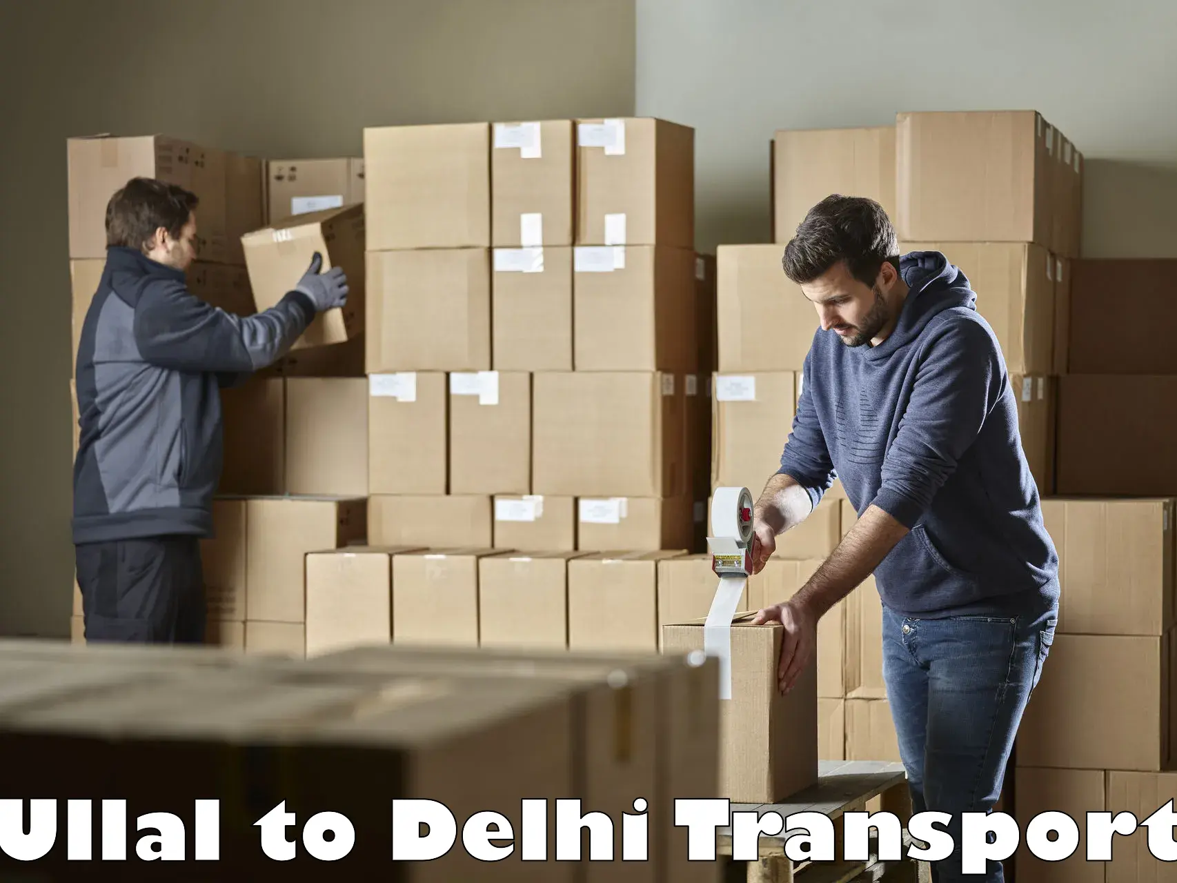 Material transport services in Ullal to University of Delhi