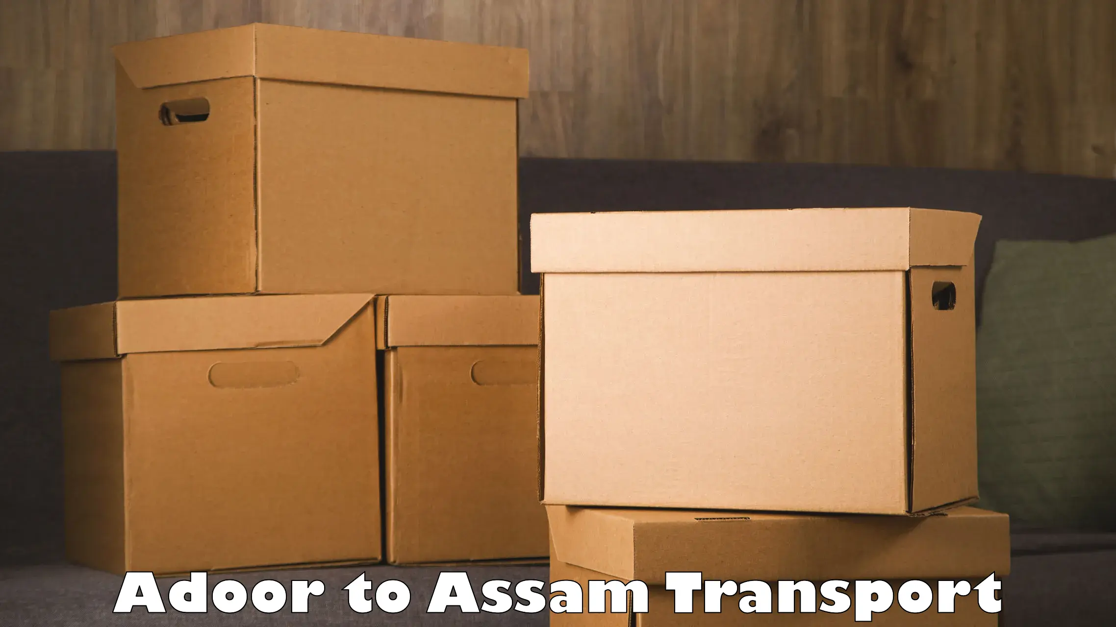 Air cargo transport services Adoor to Biswanath