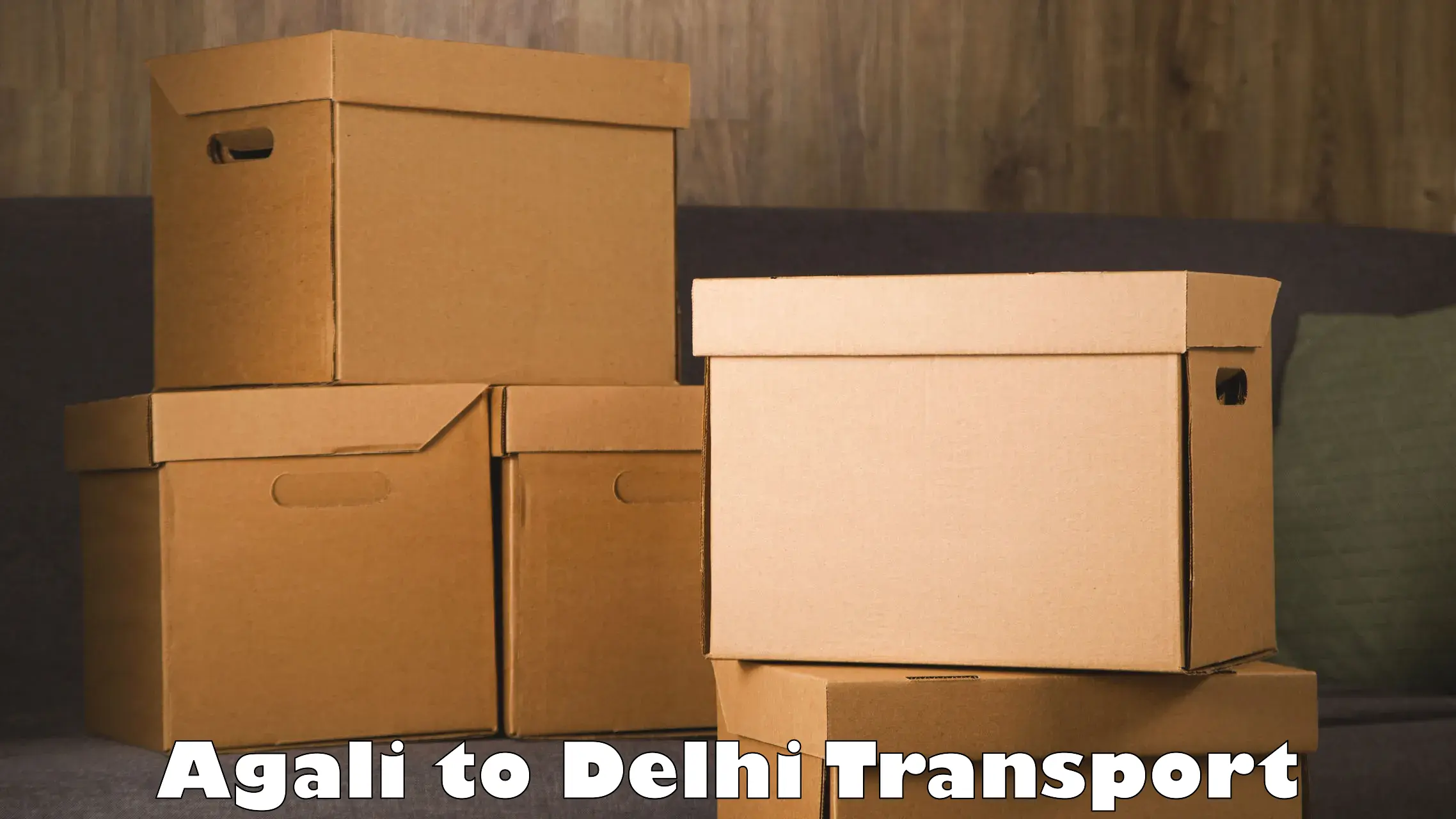 Logistics transportation services Agali to Delhi