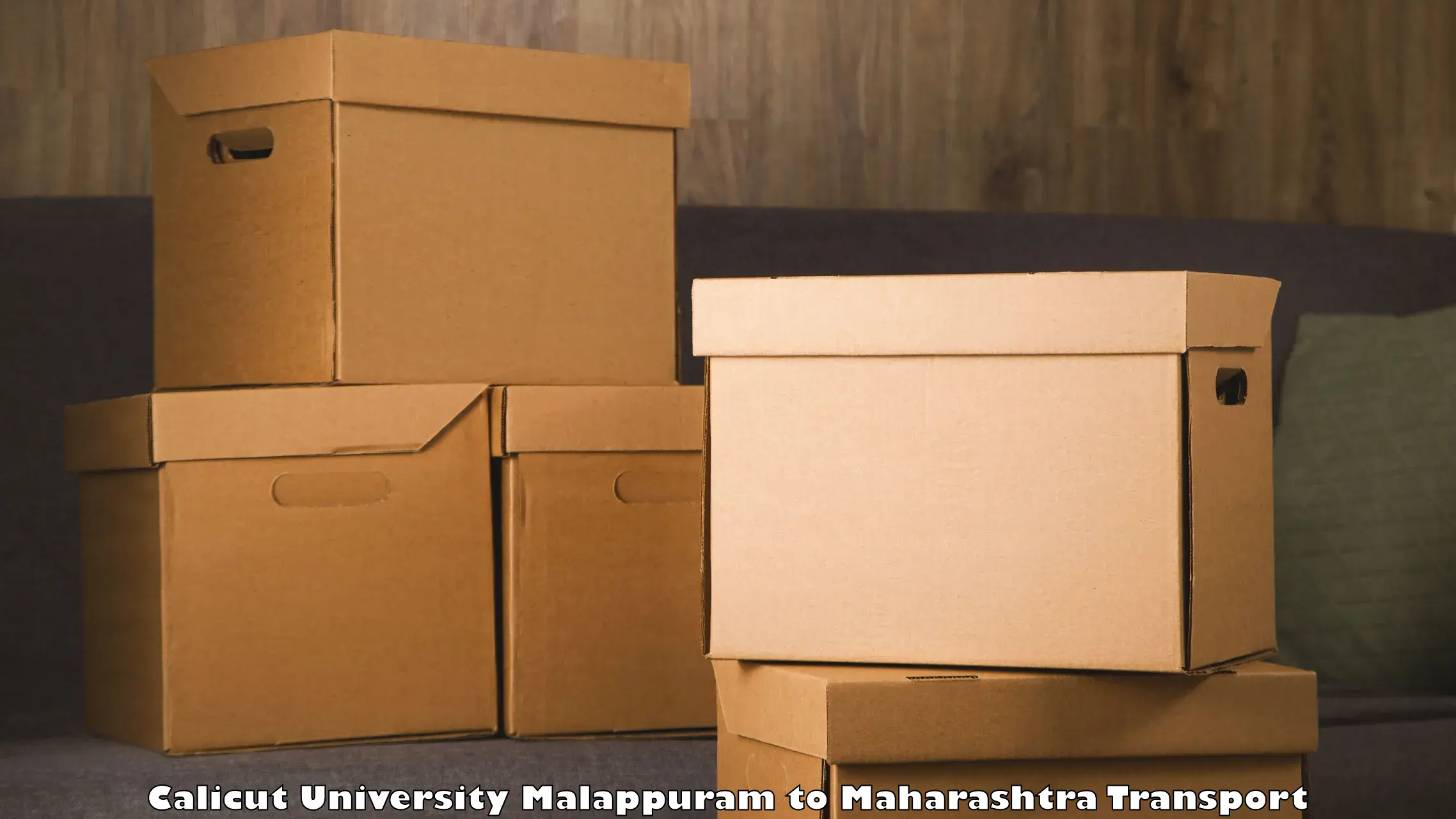 Furniture transport service Calicut University Malappuram to Lonar