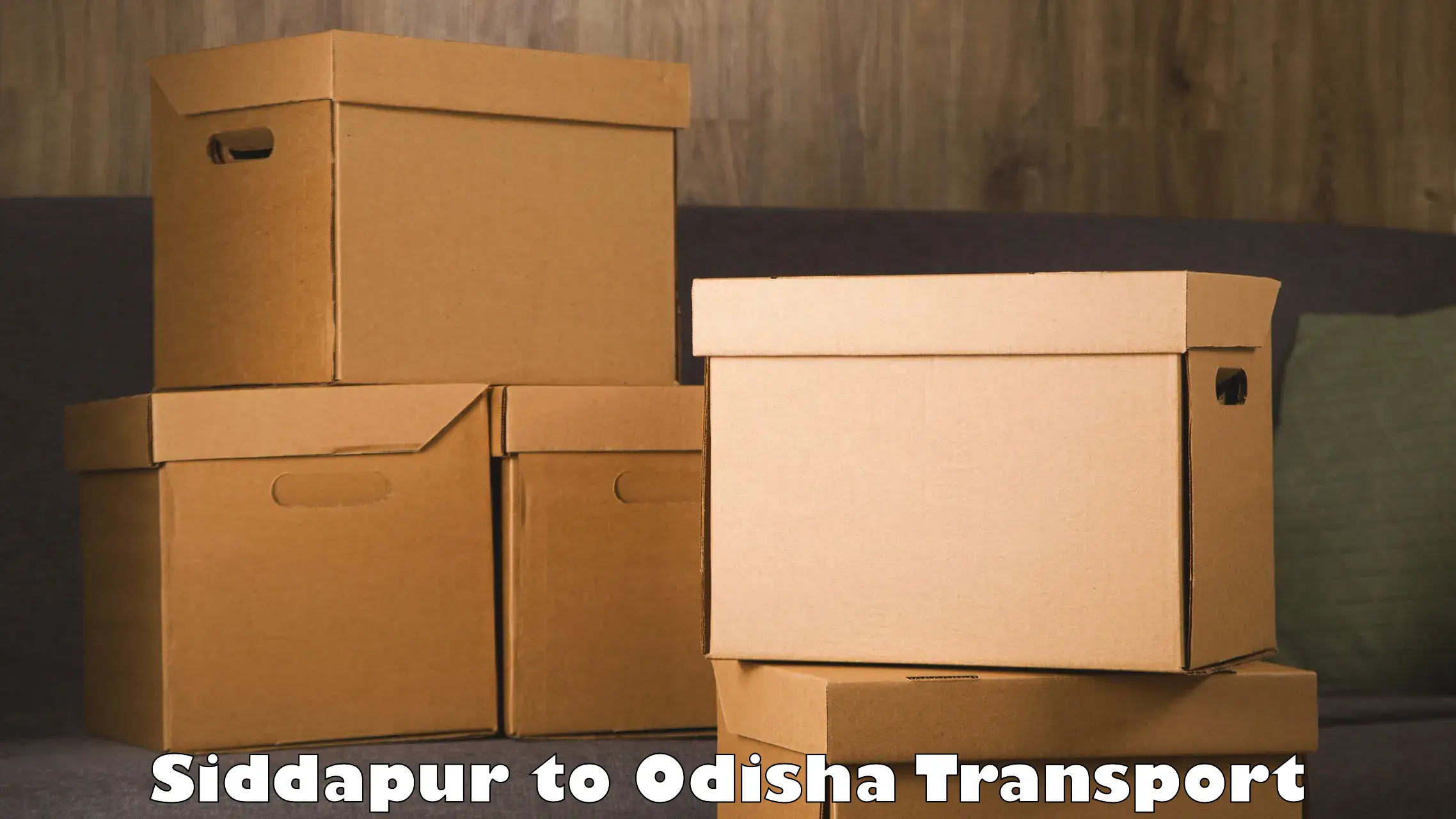Two wheeler transport services in Siddapur to Birmitrapur