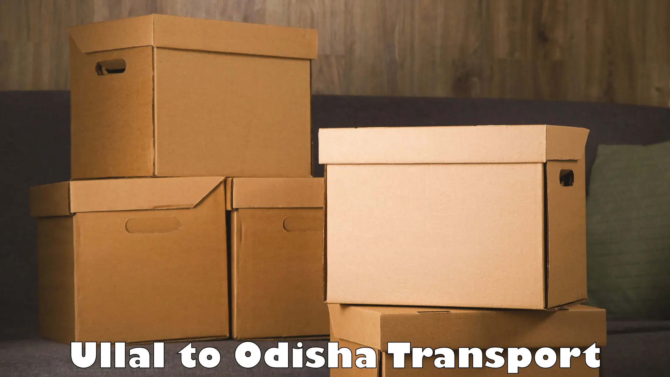 Logistics transportation services in Ullal to Jashipur