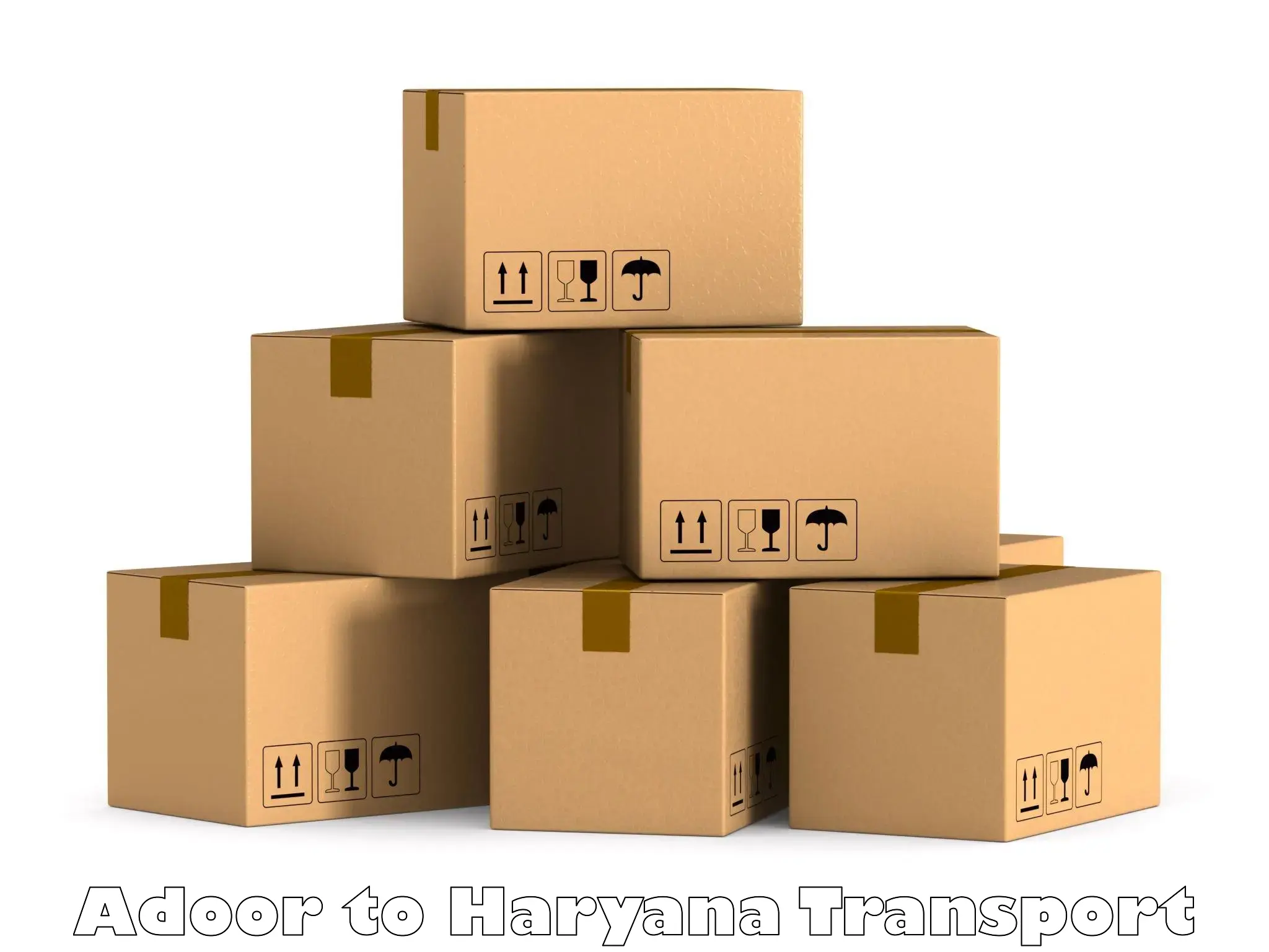Air freight transport services Adoor to Haryana